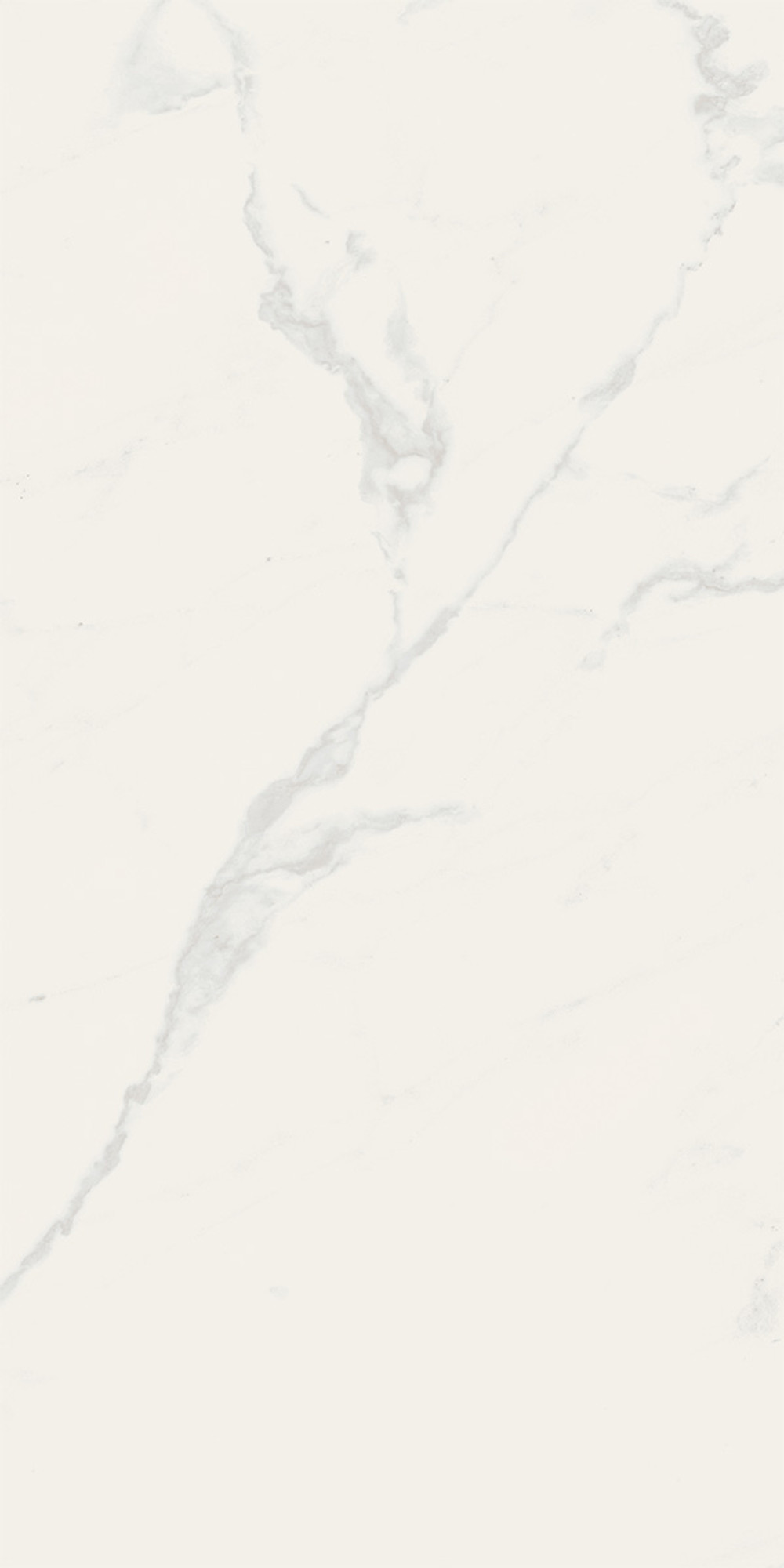 Line Calacatta Polished White Wall Tile