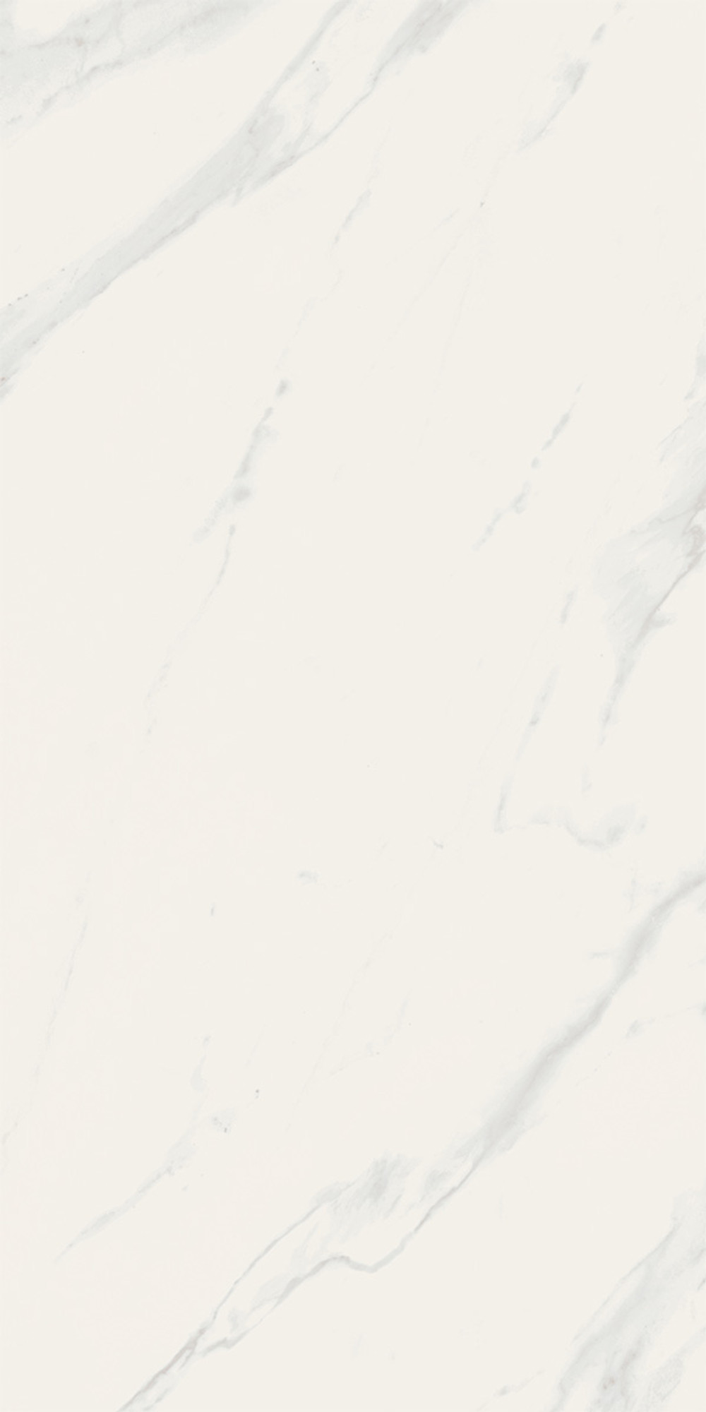 Line Calacatta Polished White Wall Tile