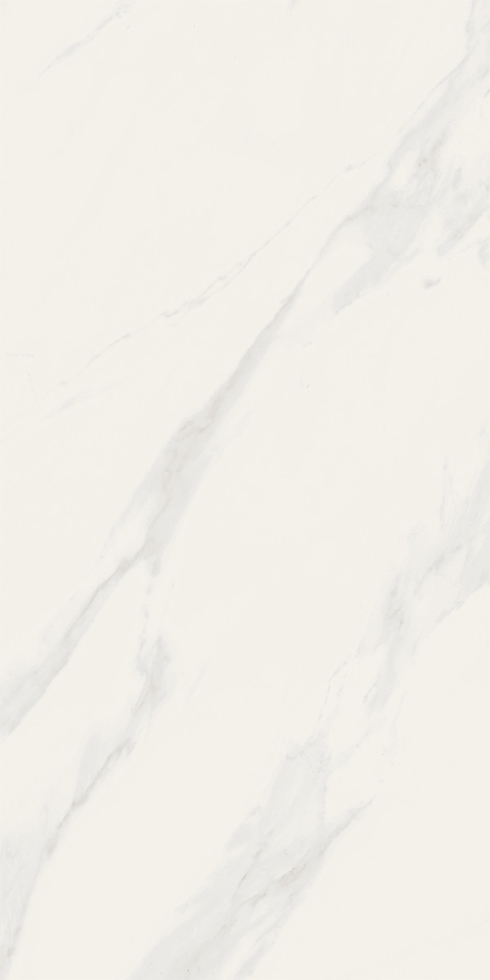 Line Calacatta Polished White Wall Tile