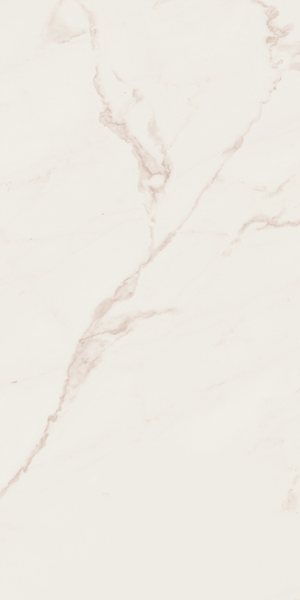 Line Calacatta Polished Cream Wall Tile