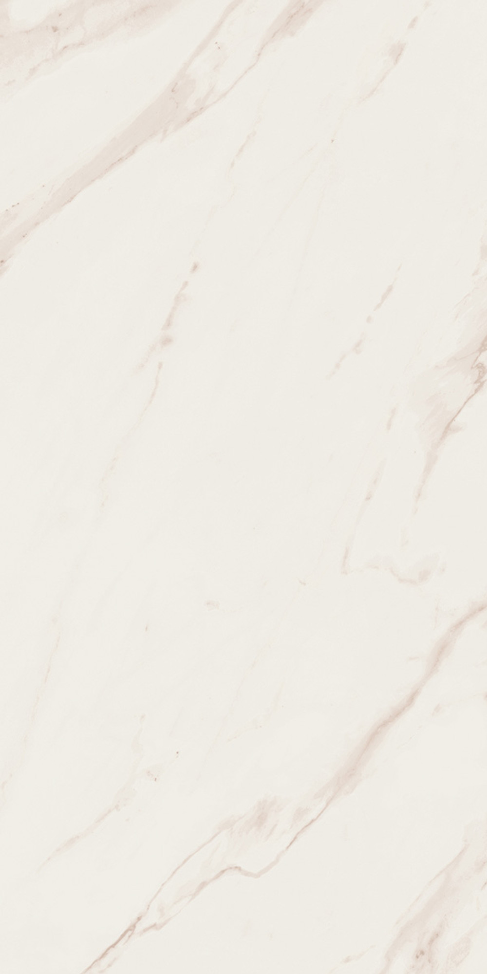 Line Calacatta Polished Cream Wall Tile