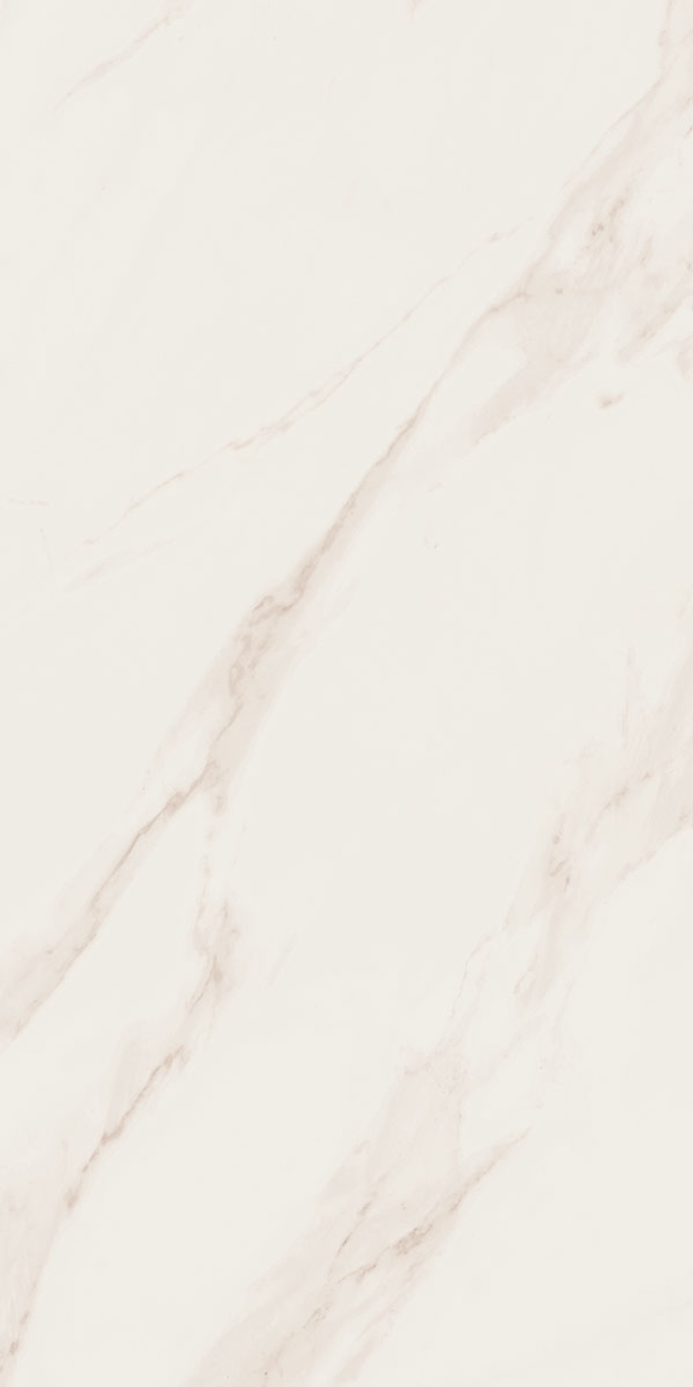 Line Calacatta Polished Cream Wall Tile