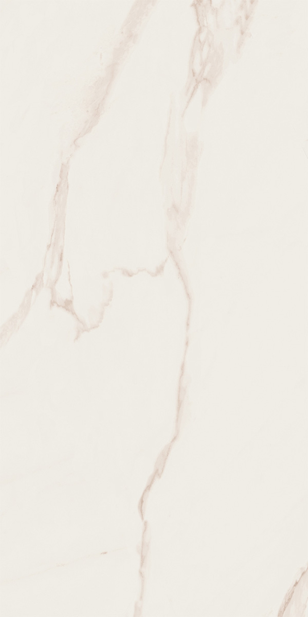 Line Calacatta Polished Cream Wall Tile