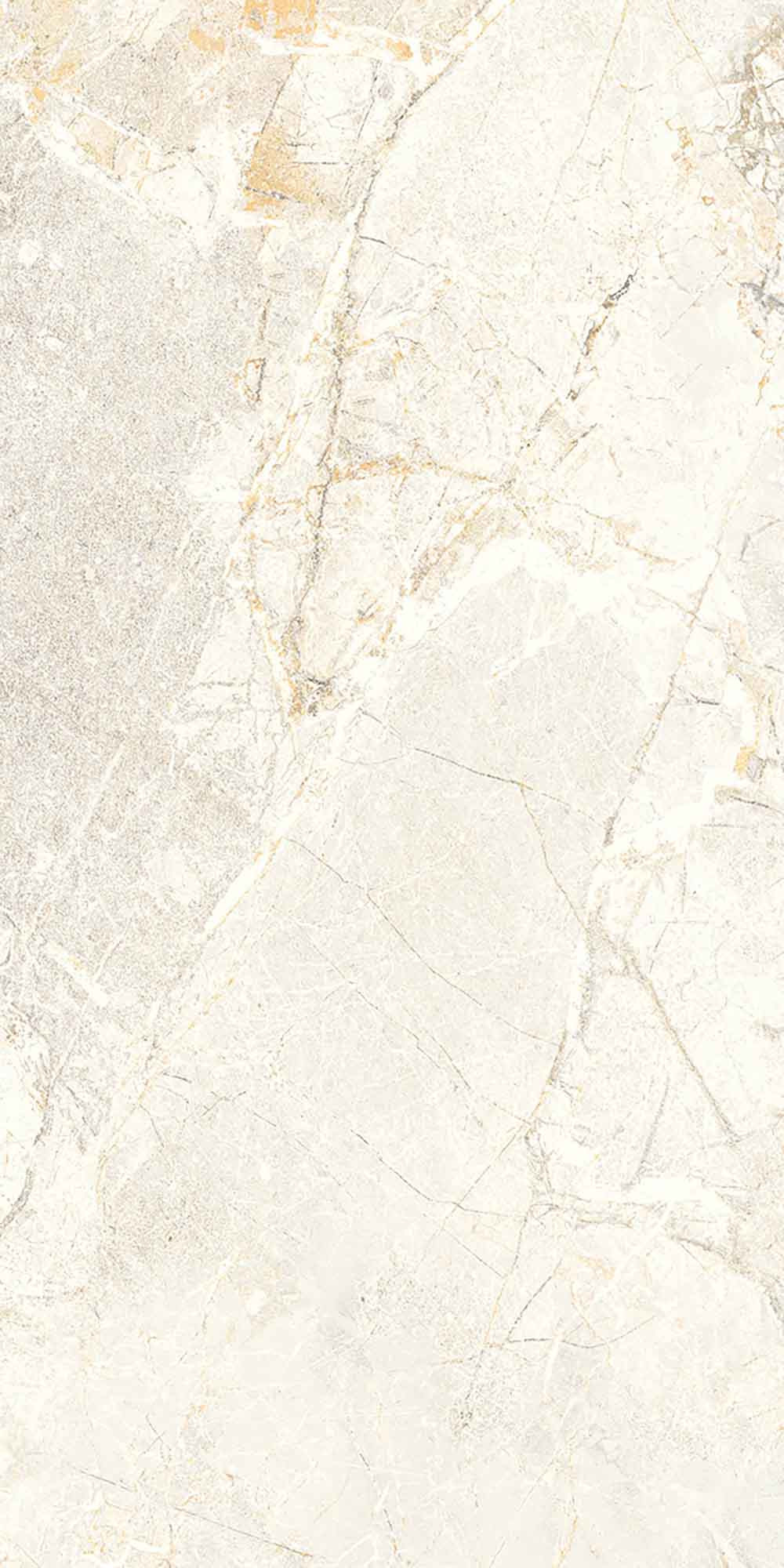 Salvia Bone Polished Wall Tile