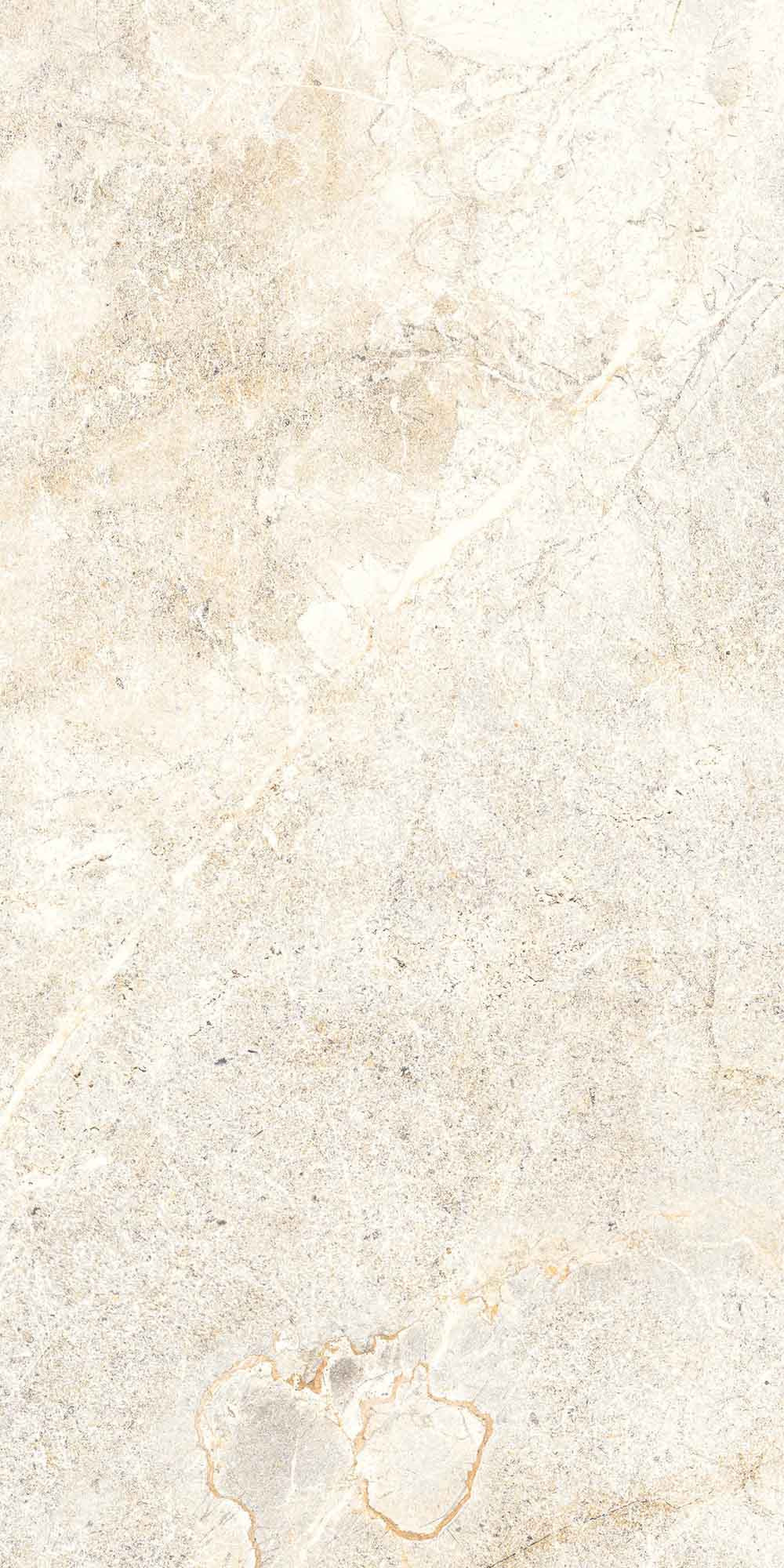Salvia Bone Polished Wall Tile
