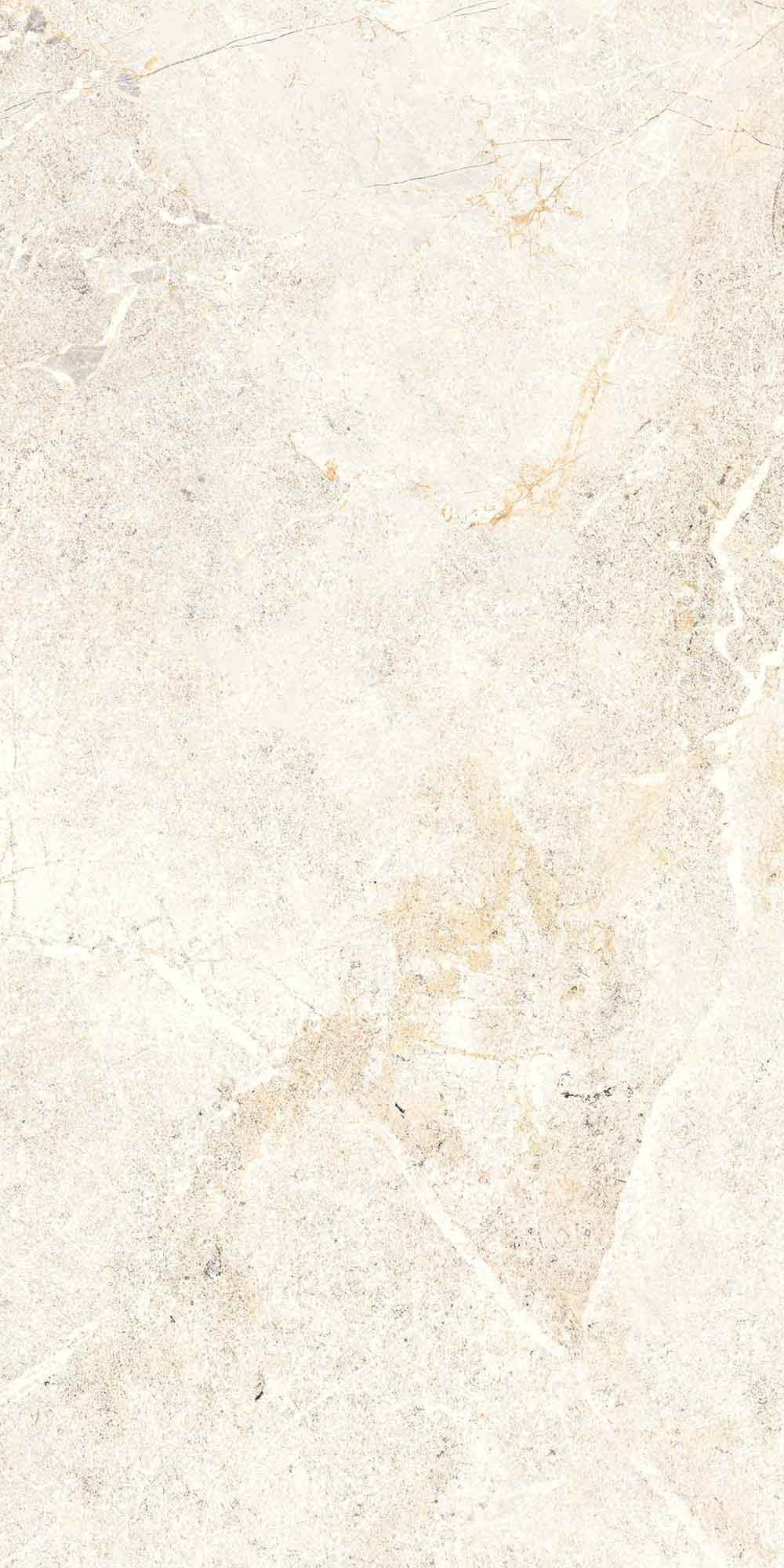 Salvia Bone Polished Wall Tile