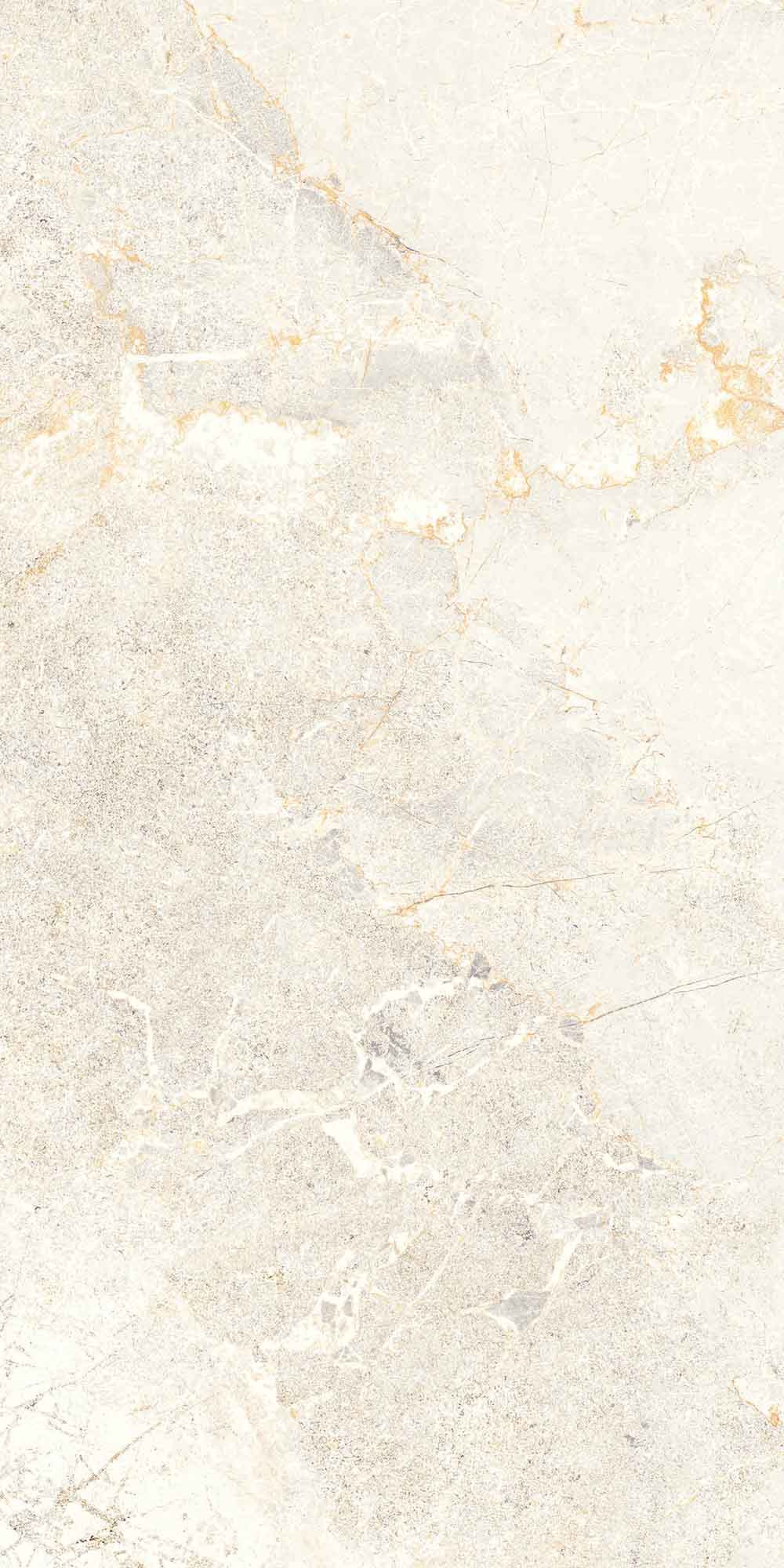 Salvia Bone Polished Wall Tile