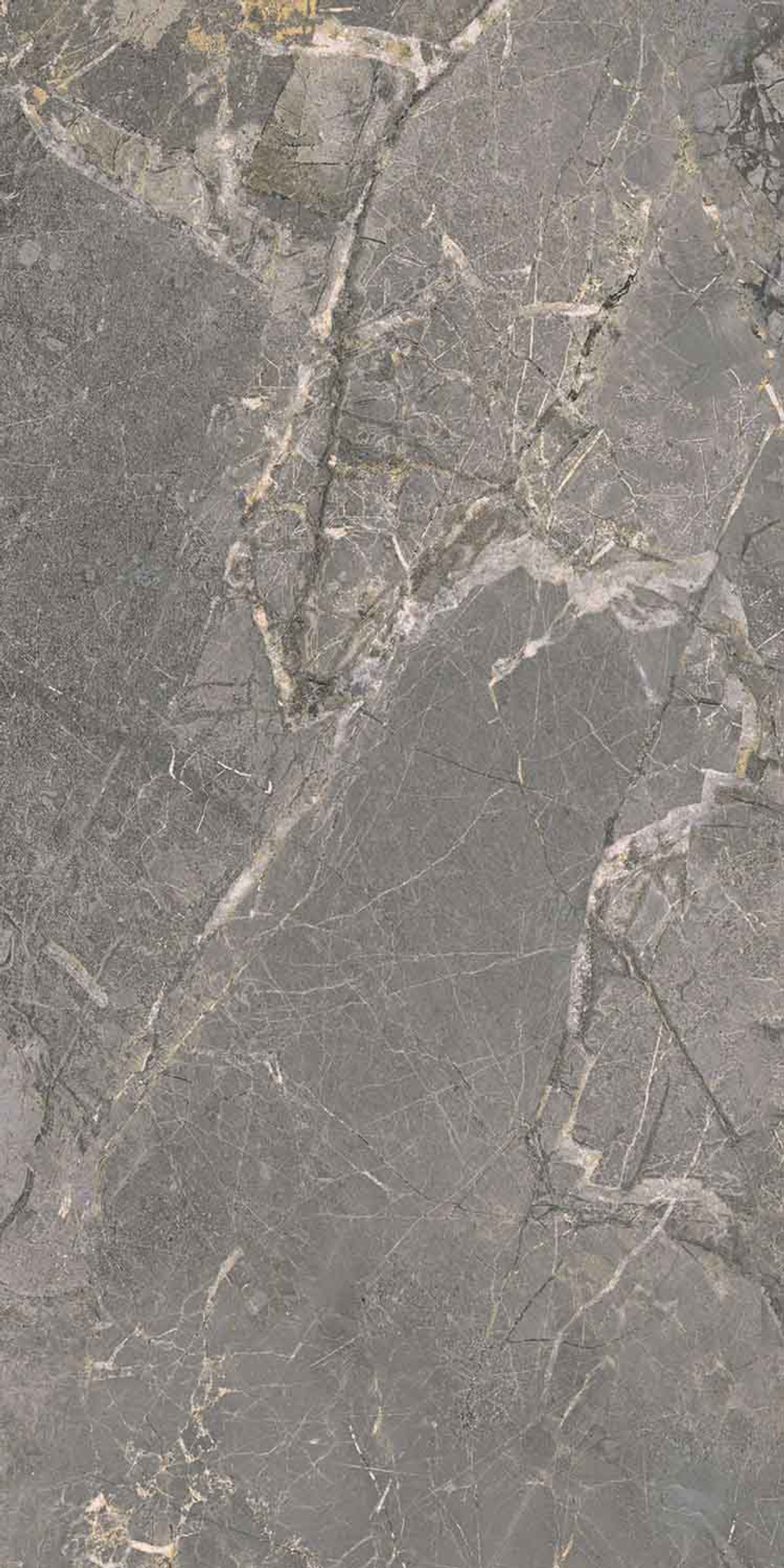 Salvia Grey Polished Wall Tile