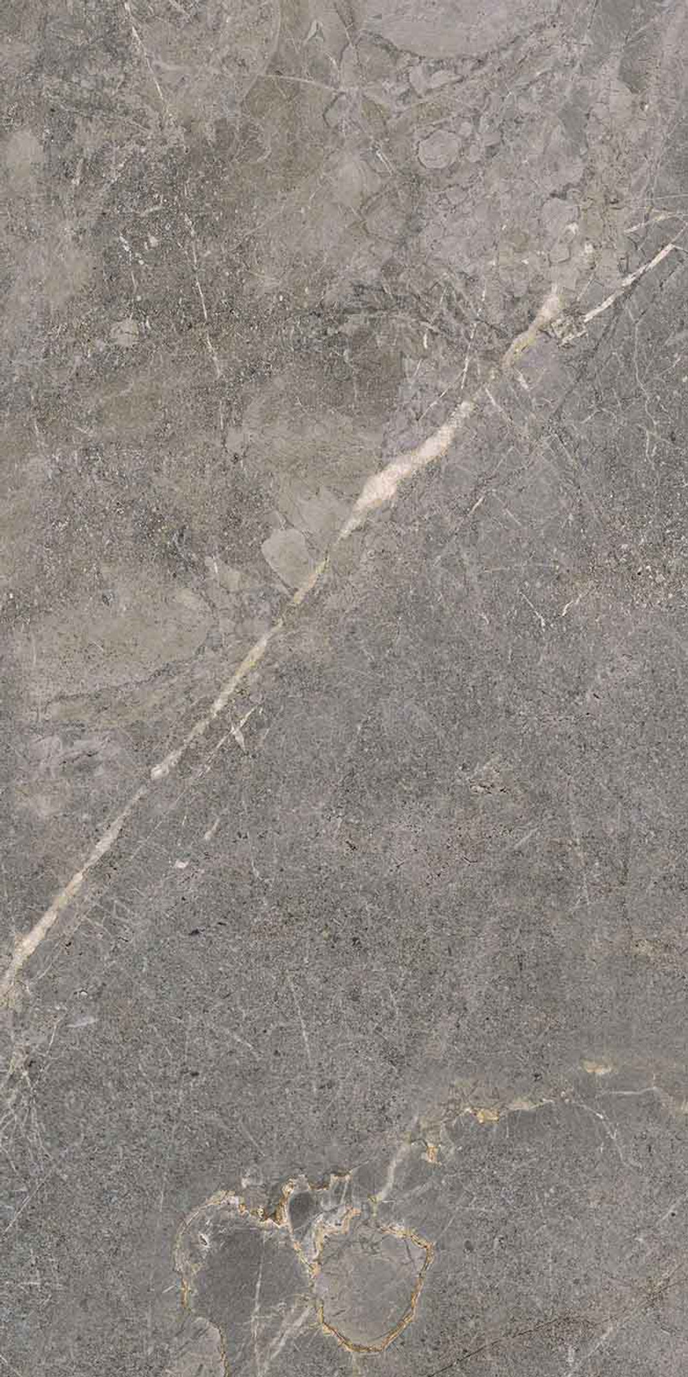 Salvia Grey Polished Wall Tile