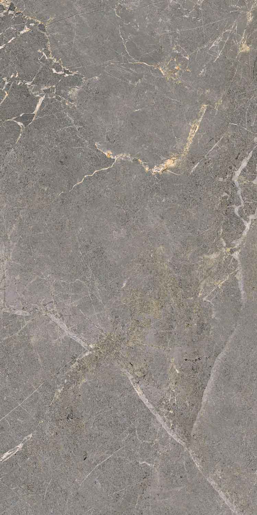 Salvia Grey Polished Wall Tile