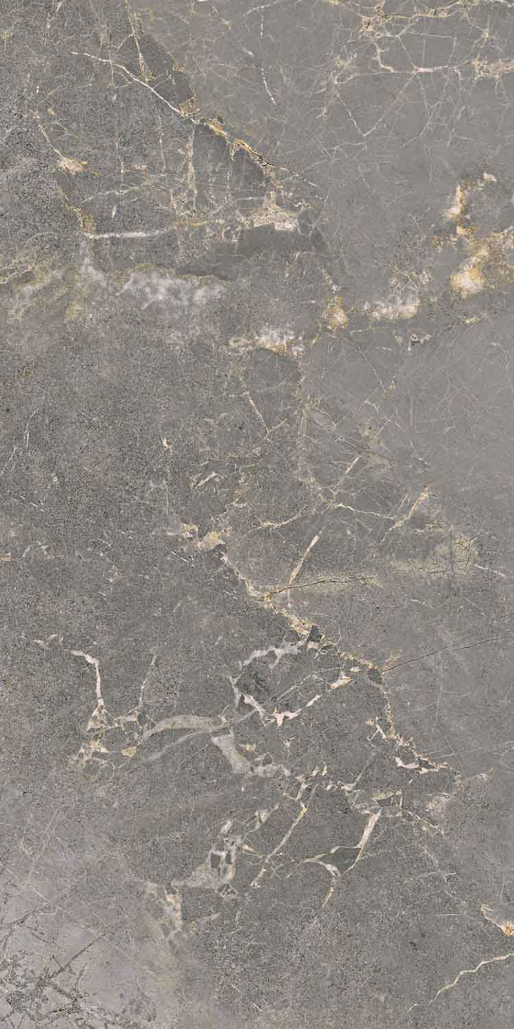 Salvia Grey Polished Wall Tile