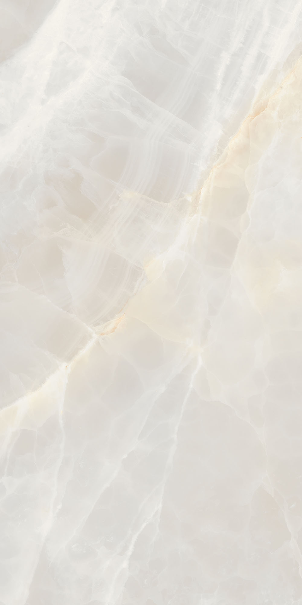Sunrise Polished Beige Wall Tile
