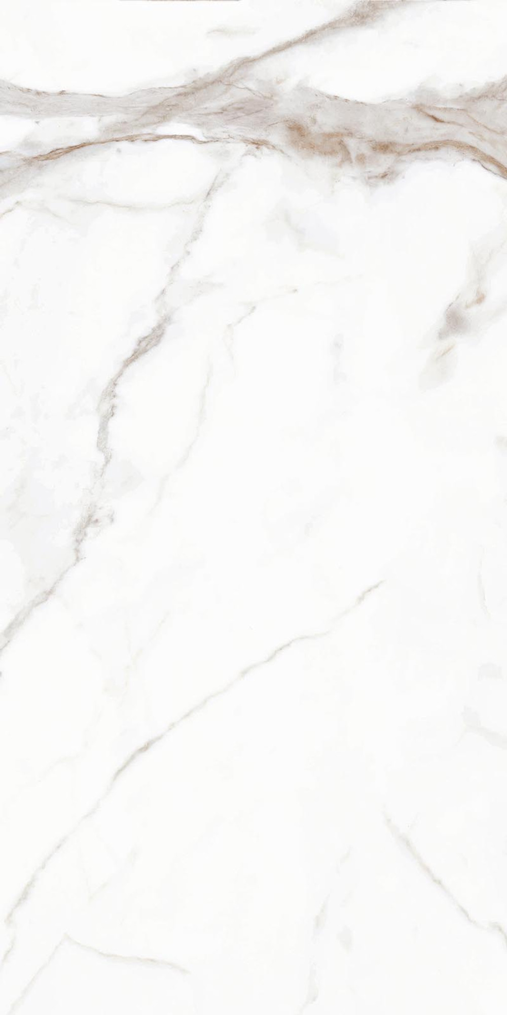 Calacatta Gold Polished Wall Tile