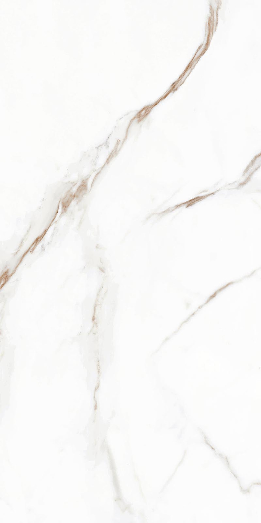 Calacatta Gold Polished Wall Tile