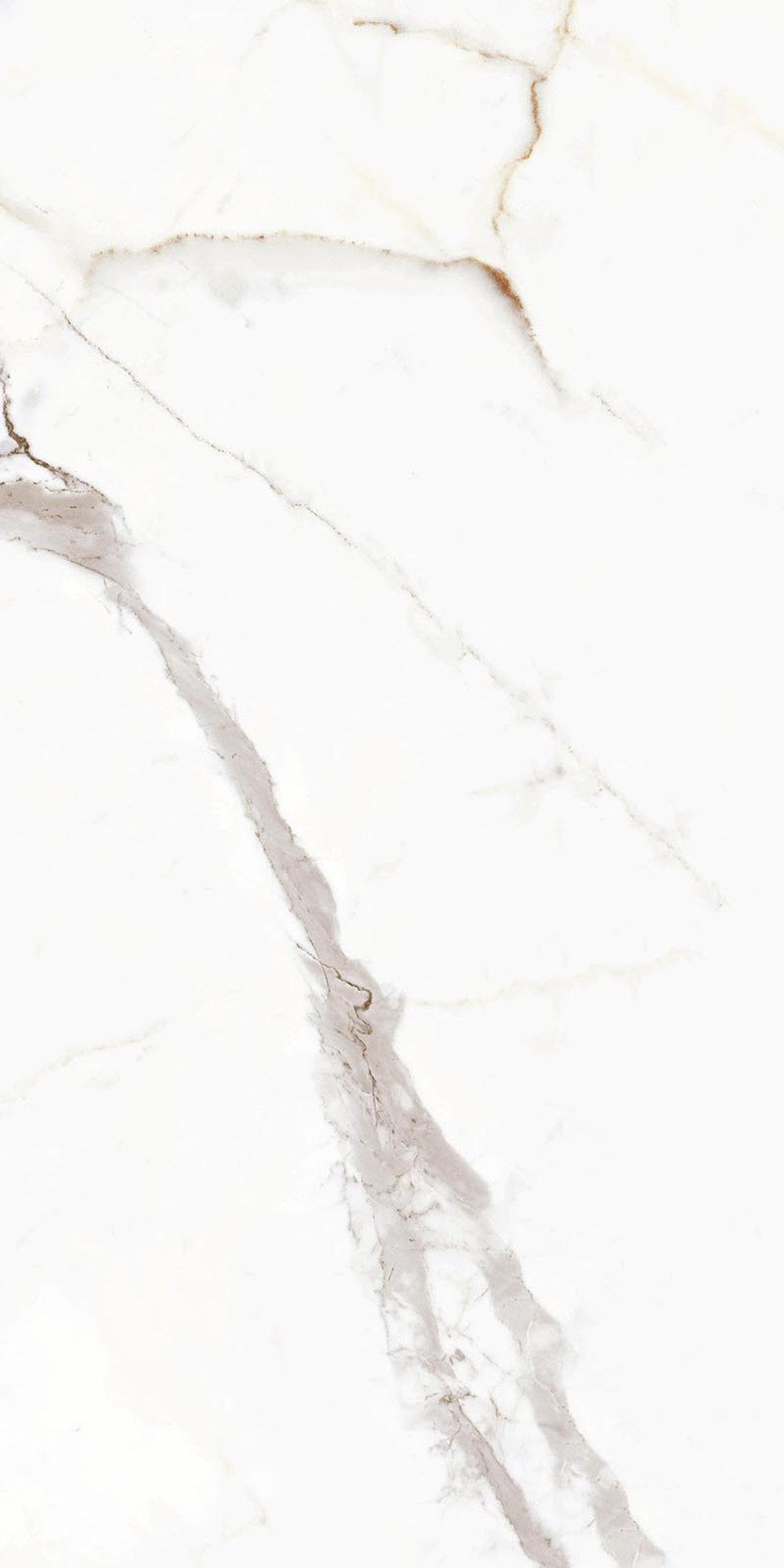 Calacatta Gold Polished Wall Tile