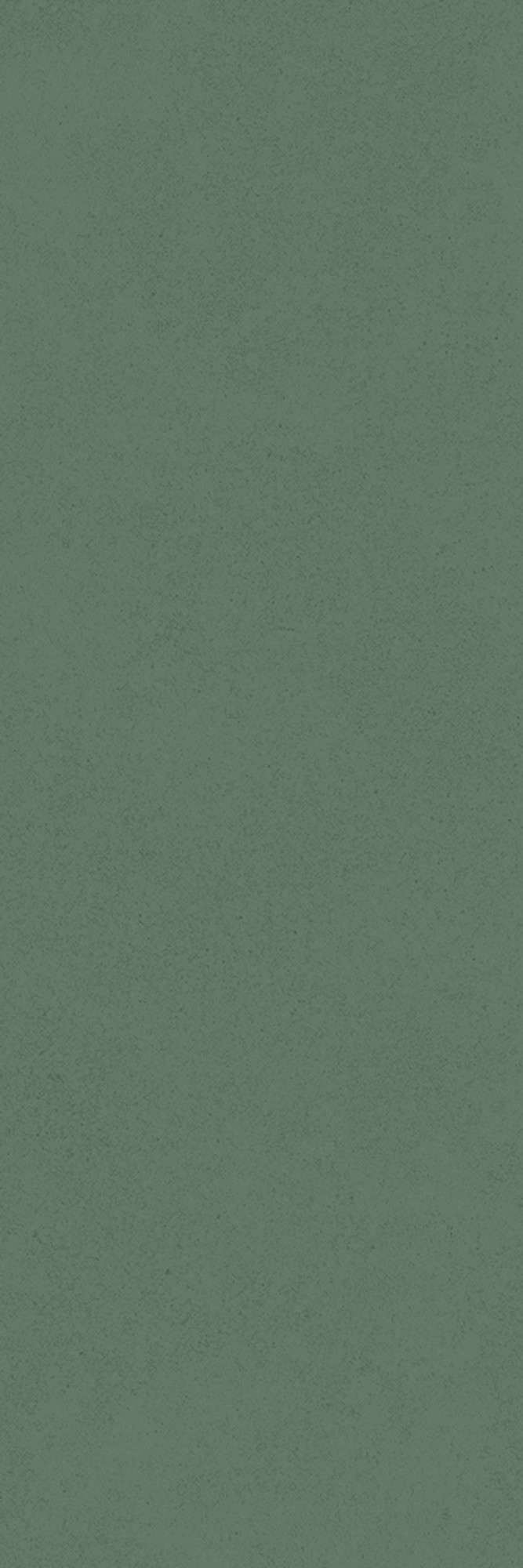 Intonaco Matte Green Decor