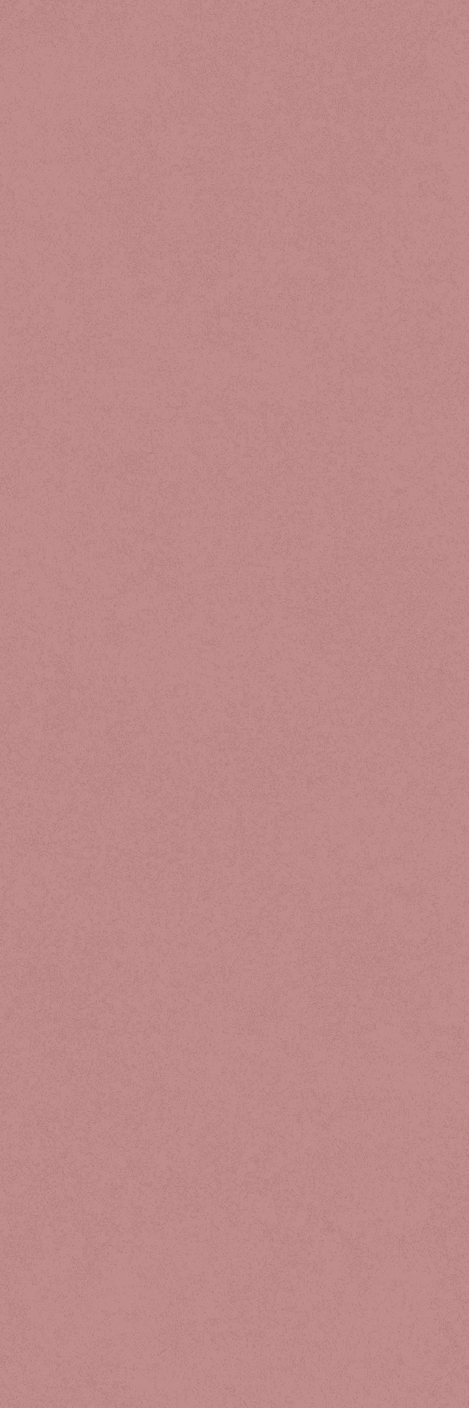 Intonaco Matte Coral Decor