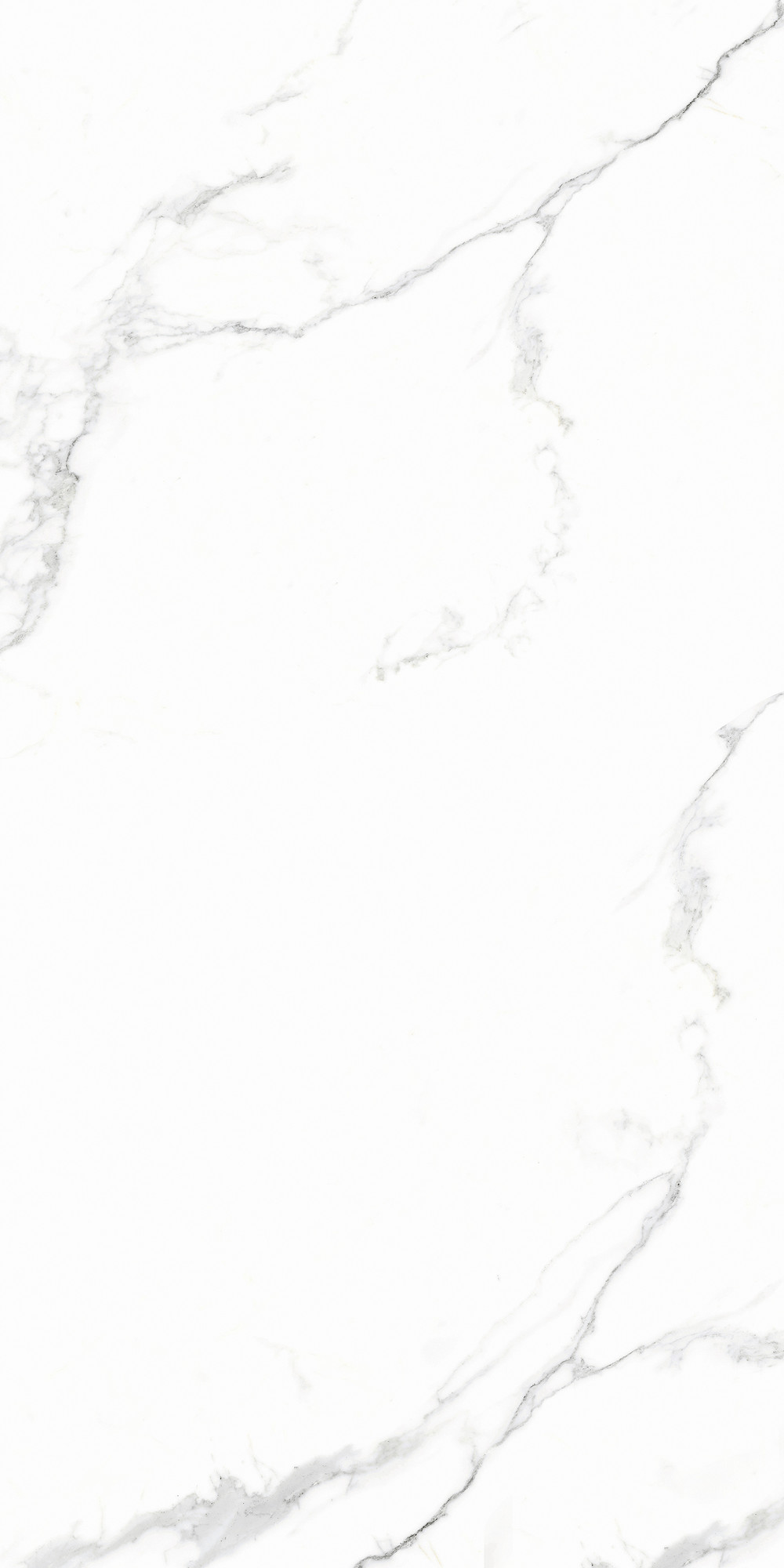 Calacatta Matte White Wall Tile