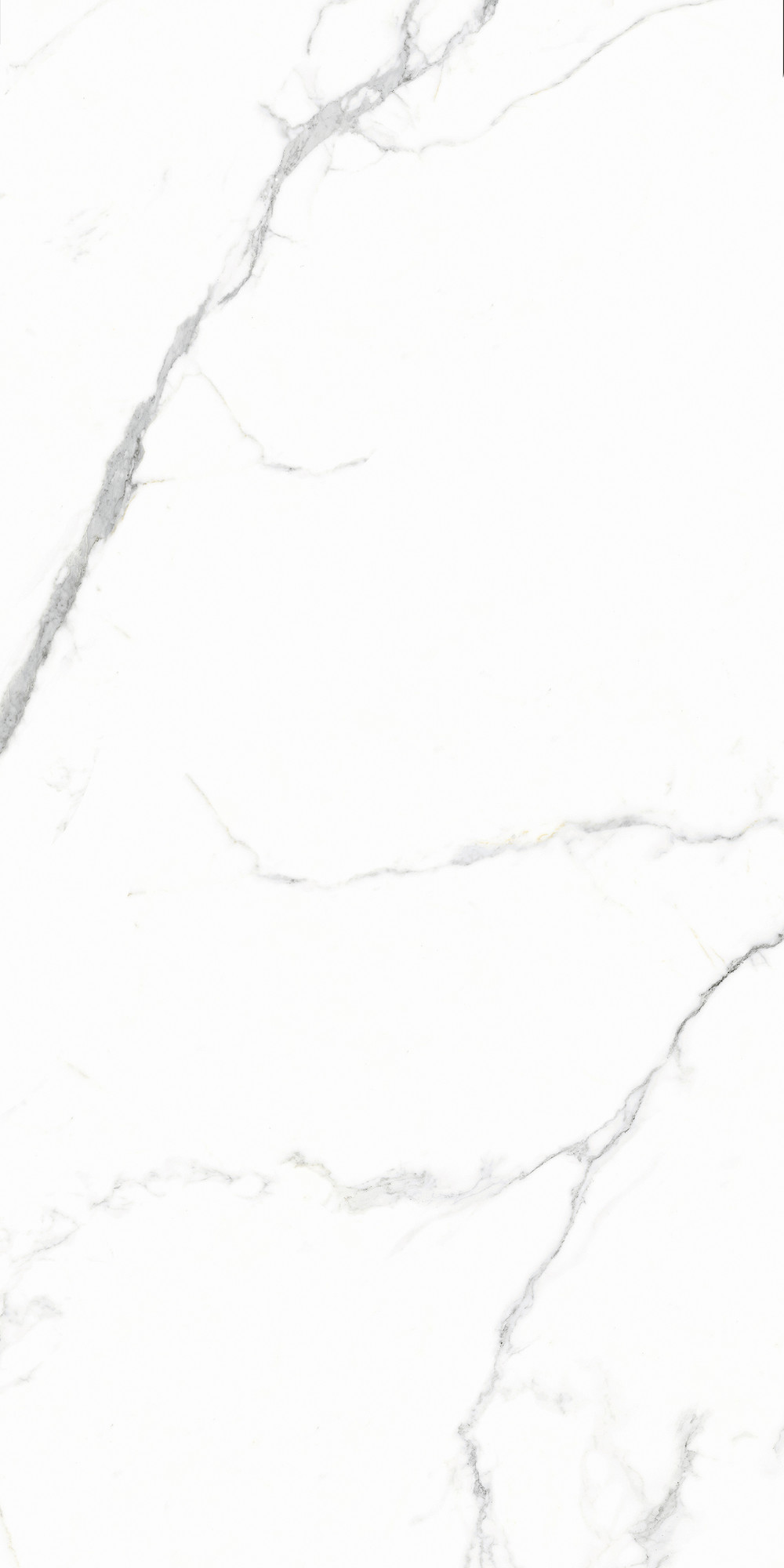 Calacatta Matte White Wall Tile