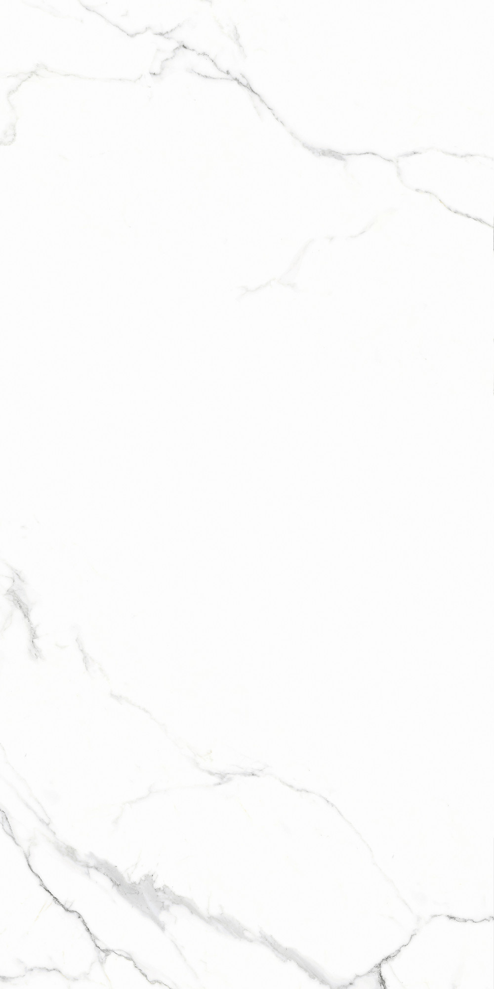Calacatta Matte White Wall Tile