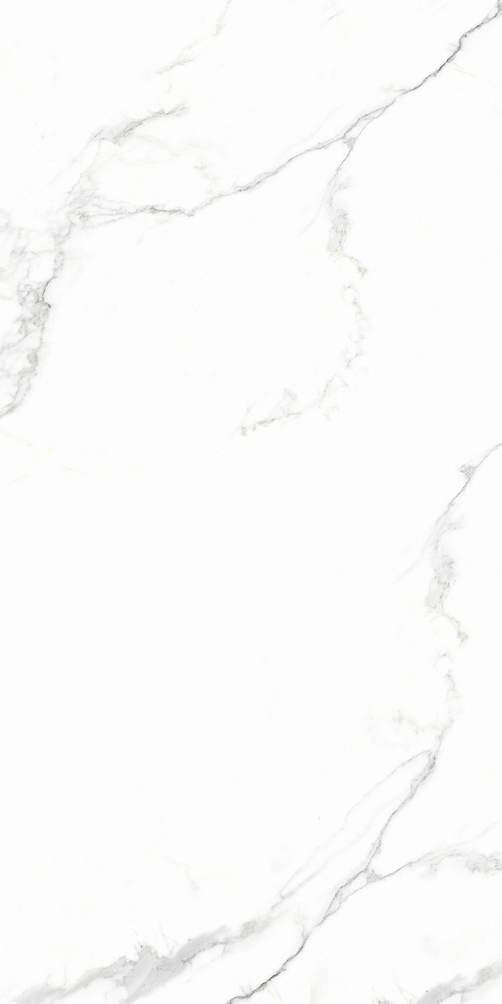 Calacatta Polished White Wall Tile