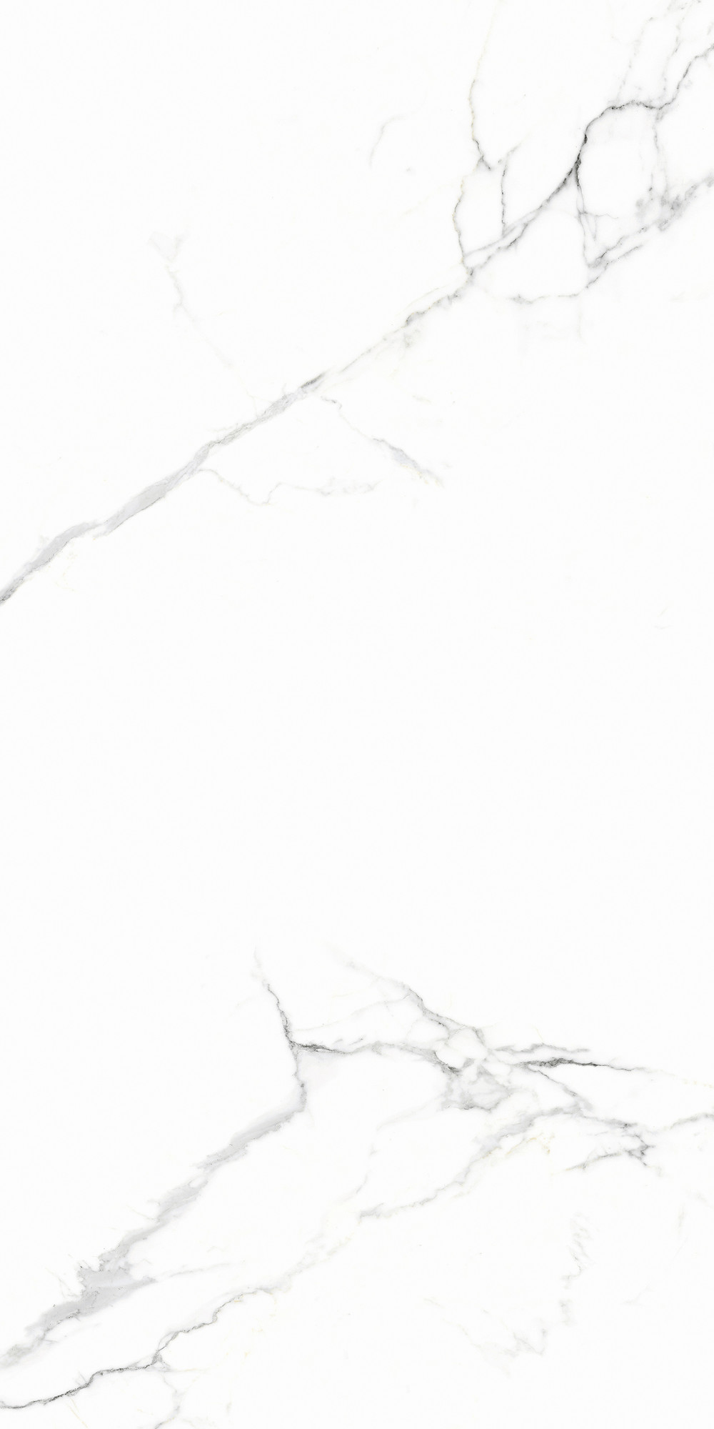 Calacatta Polished White Wall Tile