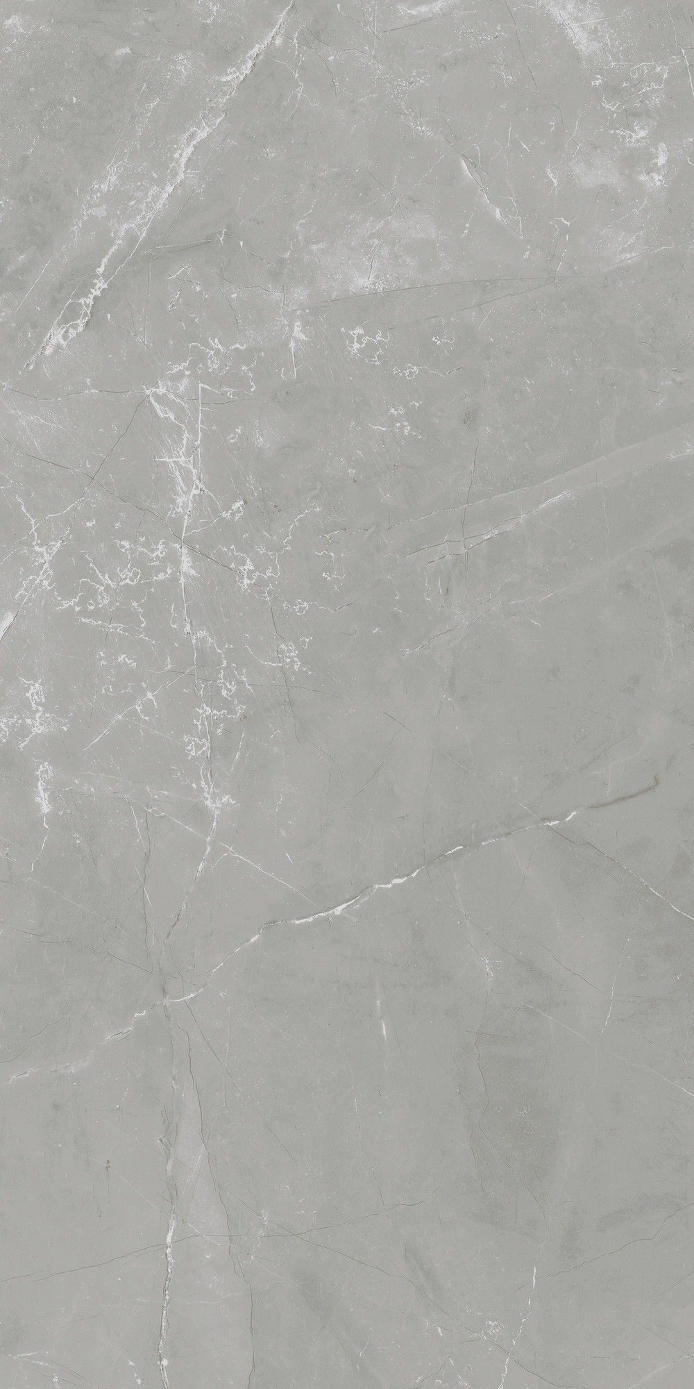 Pulpis M. Rectified Polished Grey Wall Tile