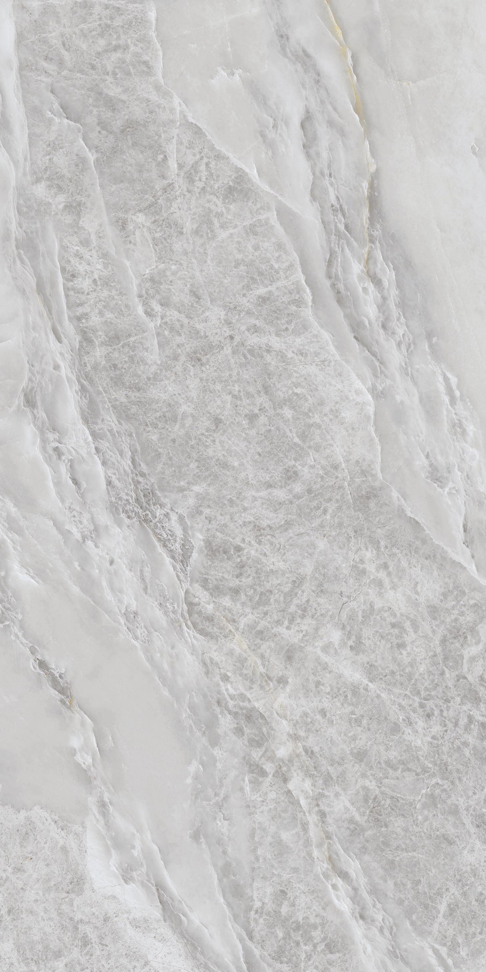 Vitreous Polished Grey Wall Tile