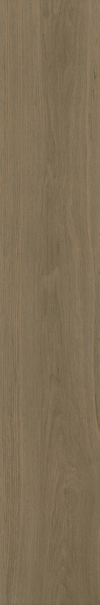 Madera Matte Rovere Porcelain Tile