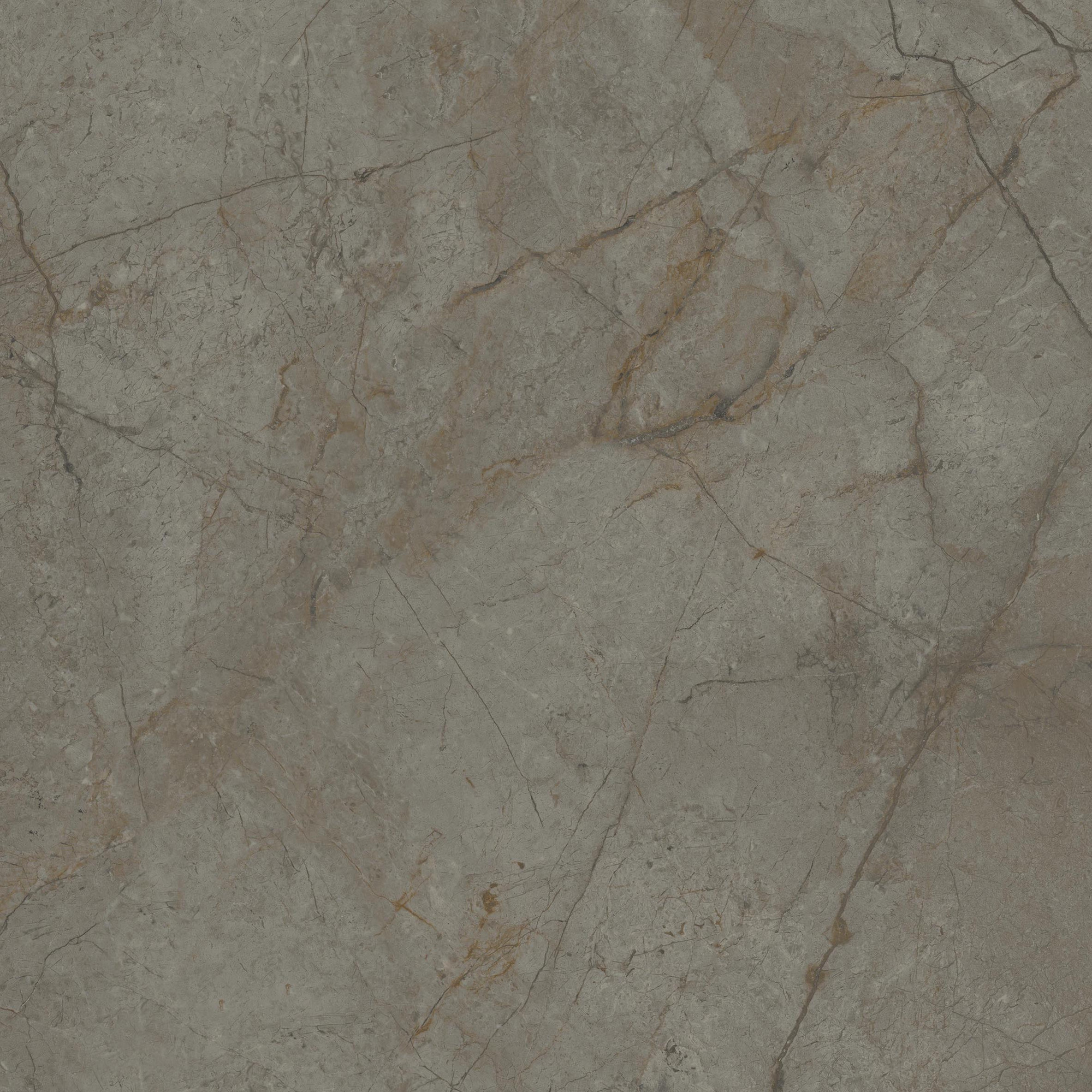 Silver River Semi Polished Dark Porcelain Tile