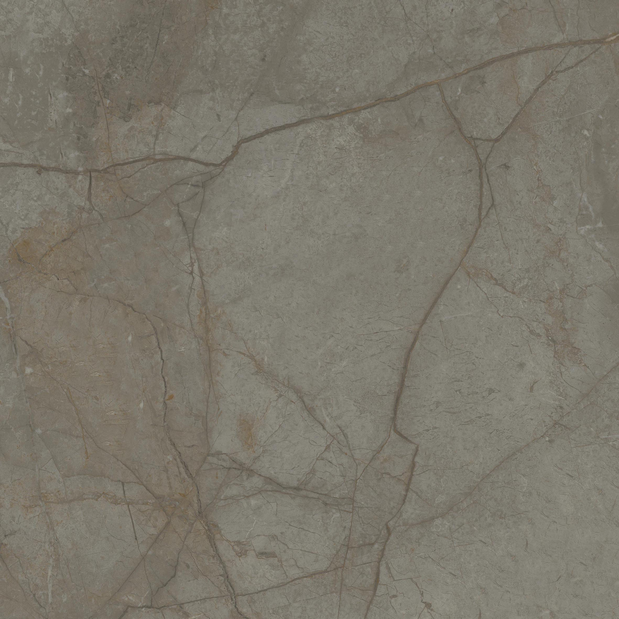 Silver River Semi Polished Dark Porcelain Tile