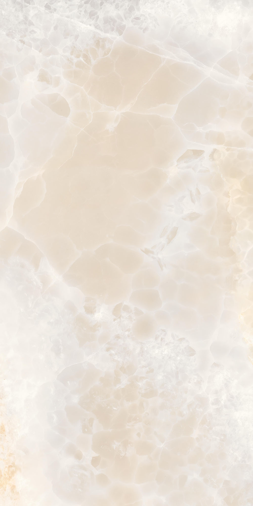 Royal Marbles Polished Onyx Sunrise Wall Tile