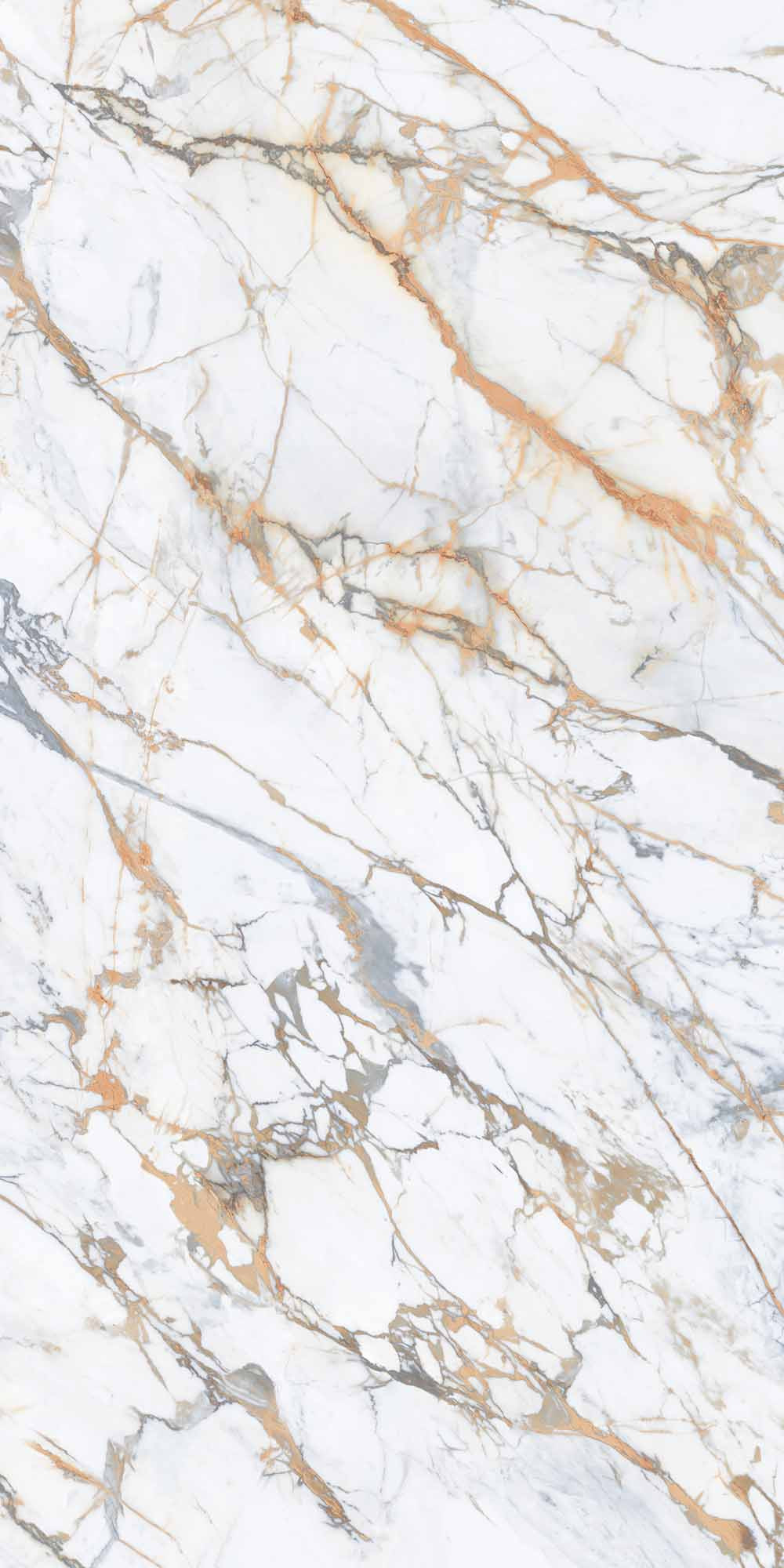 Royal Marbles Polished Calacatta Macchia Vecchia Porcelain Tile