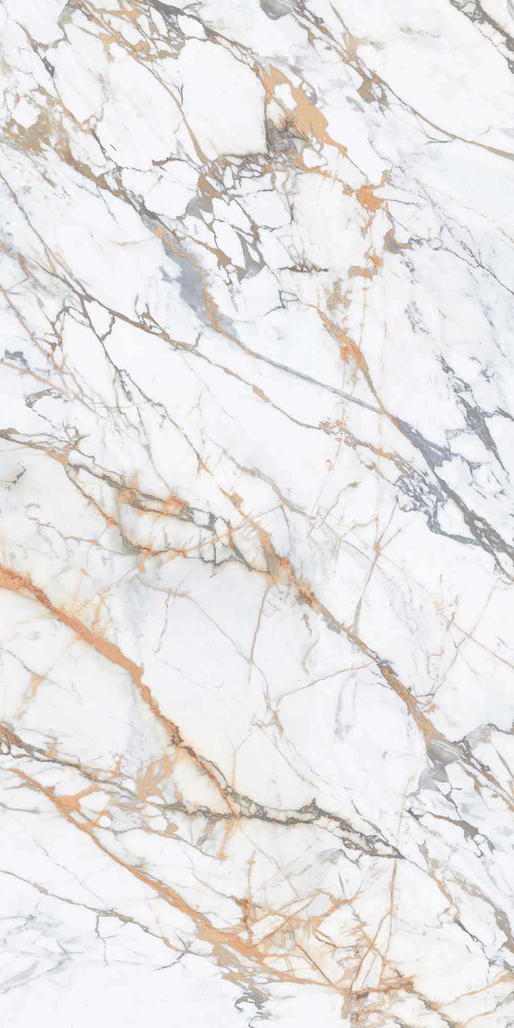 Royal Marbles Polished Calacatta Macchia Vecchia Porcelain Tile