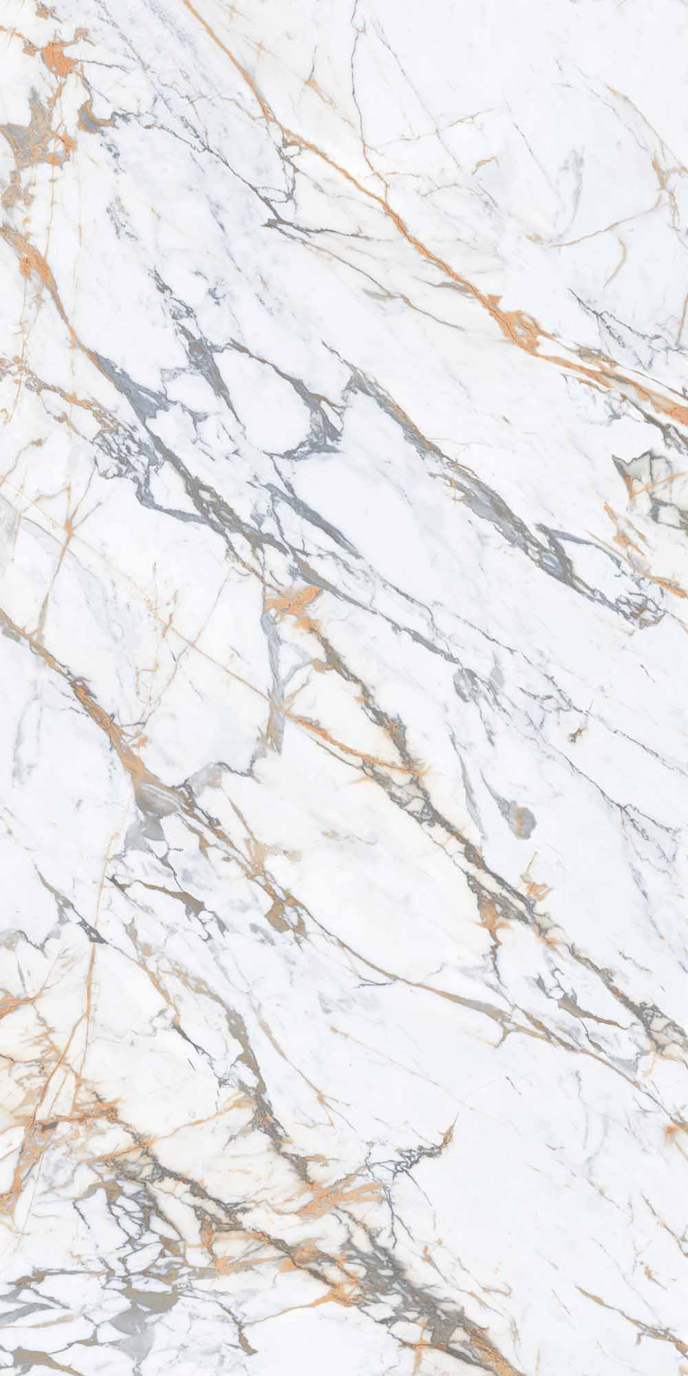 Royal Marbles Polished Calacatta Macchia Vecchia Porcelain Tile