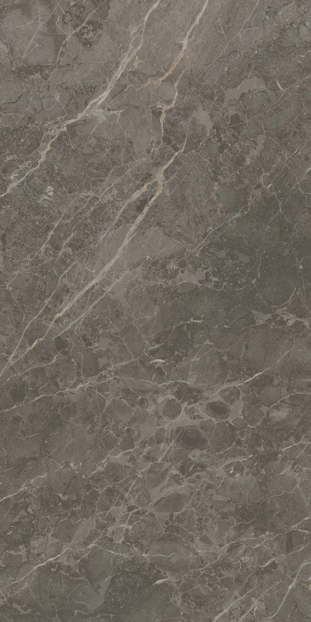 Royal Marbles Polished Dark Savana Porcelain Tile