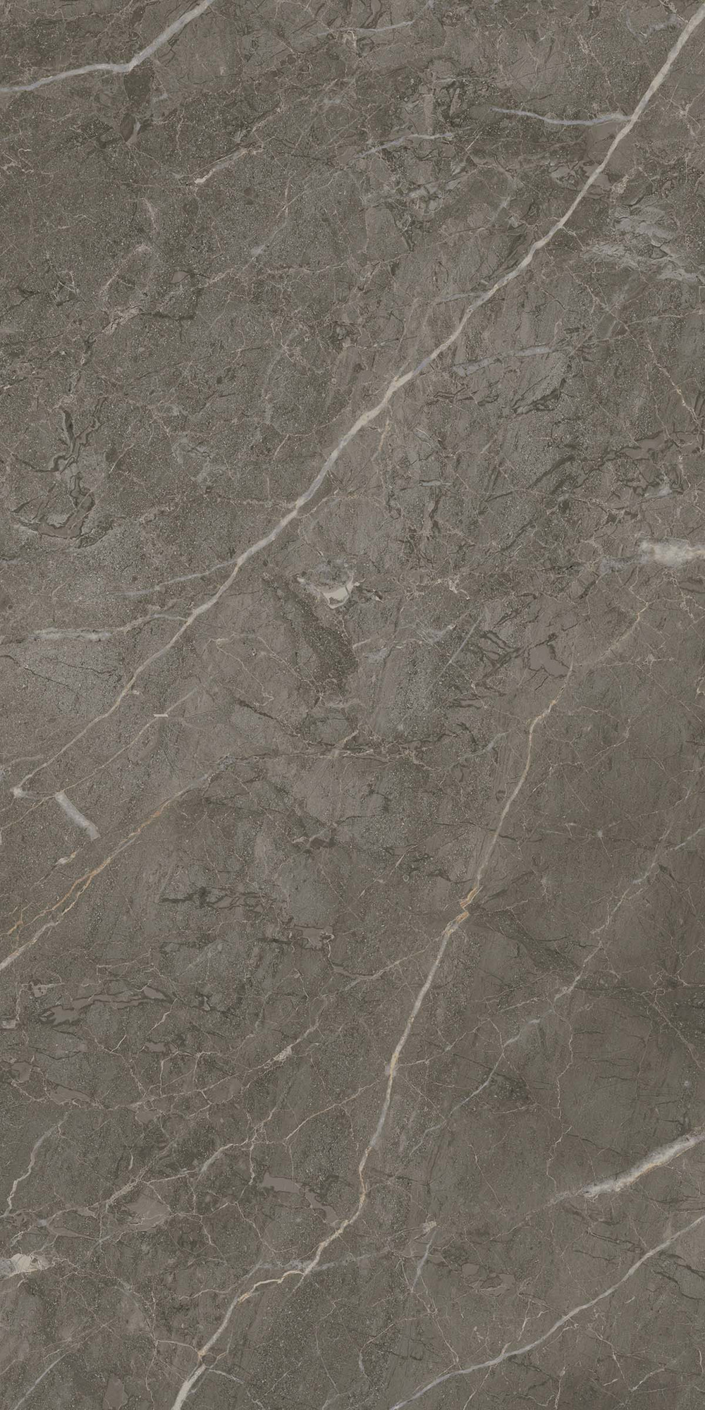Royal Marbles Polished Dark Savana Porcelain Tile