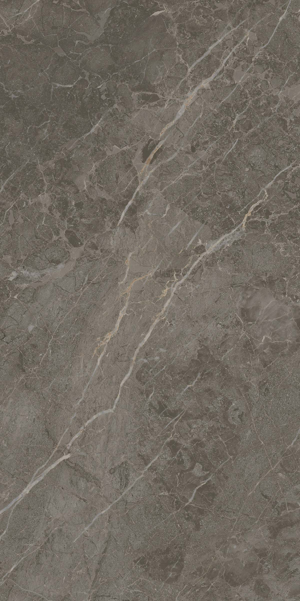 Royal Marbles Polished Dark Savana Porcelain Tile