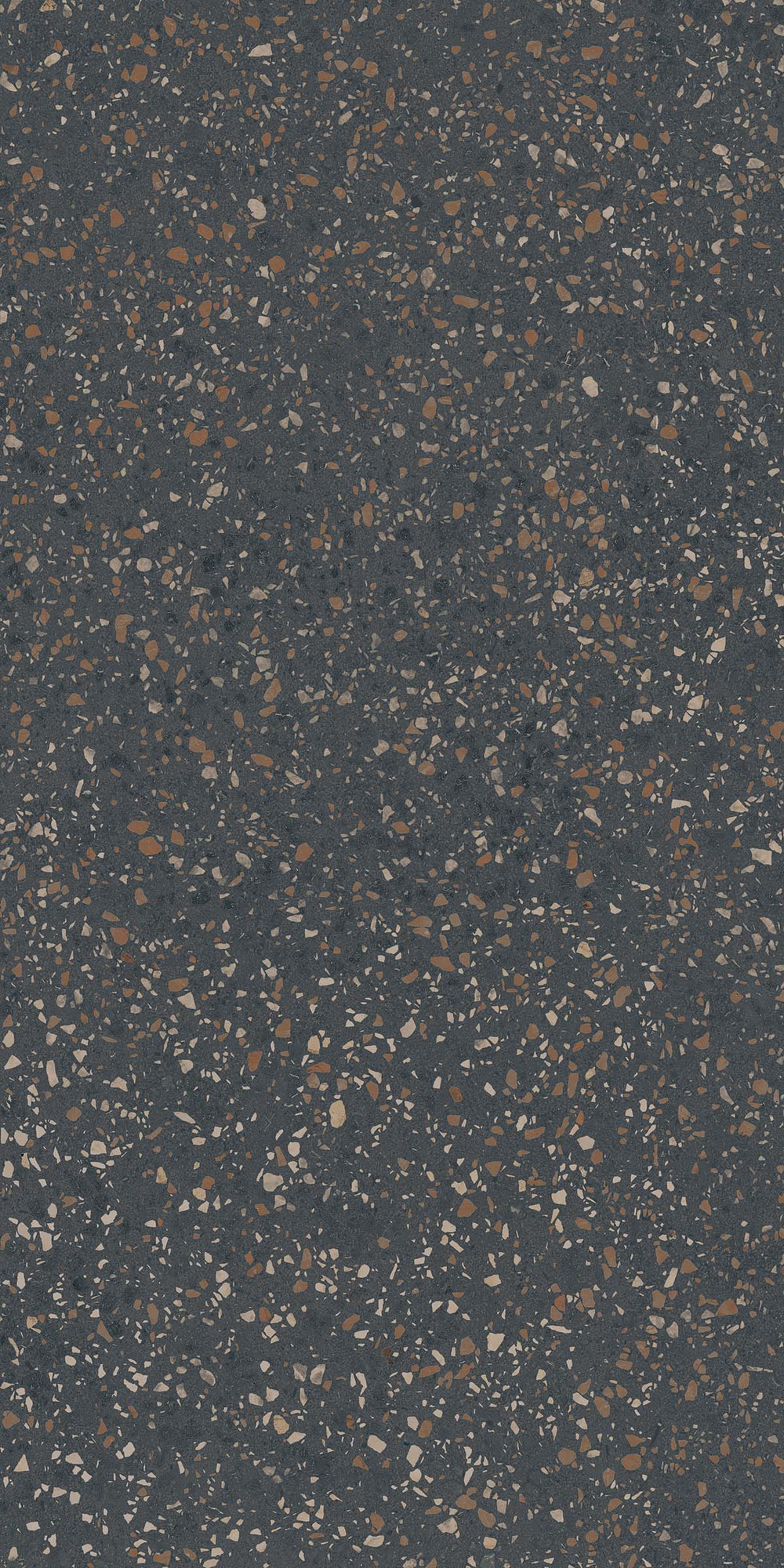 Terrazzo Polished Black Multicolor Porcelain Tile