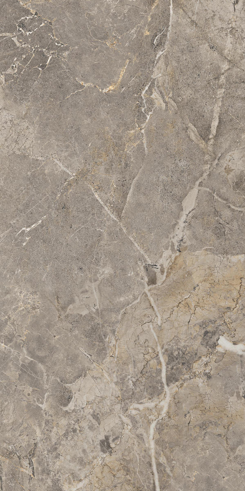 Fioridi Bosco Semi Polished White Porcelain Tile