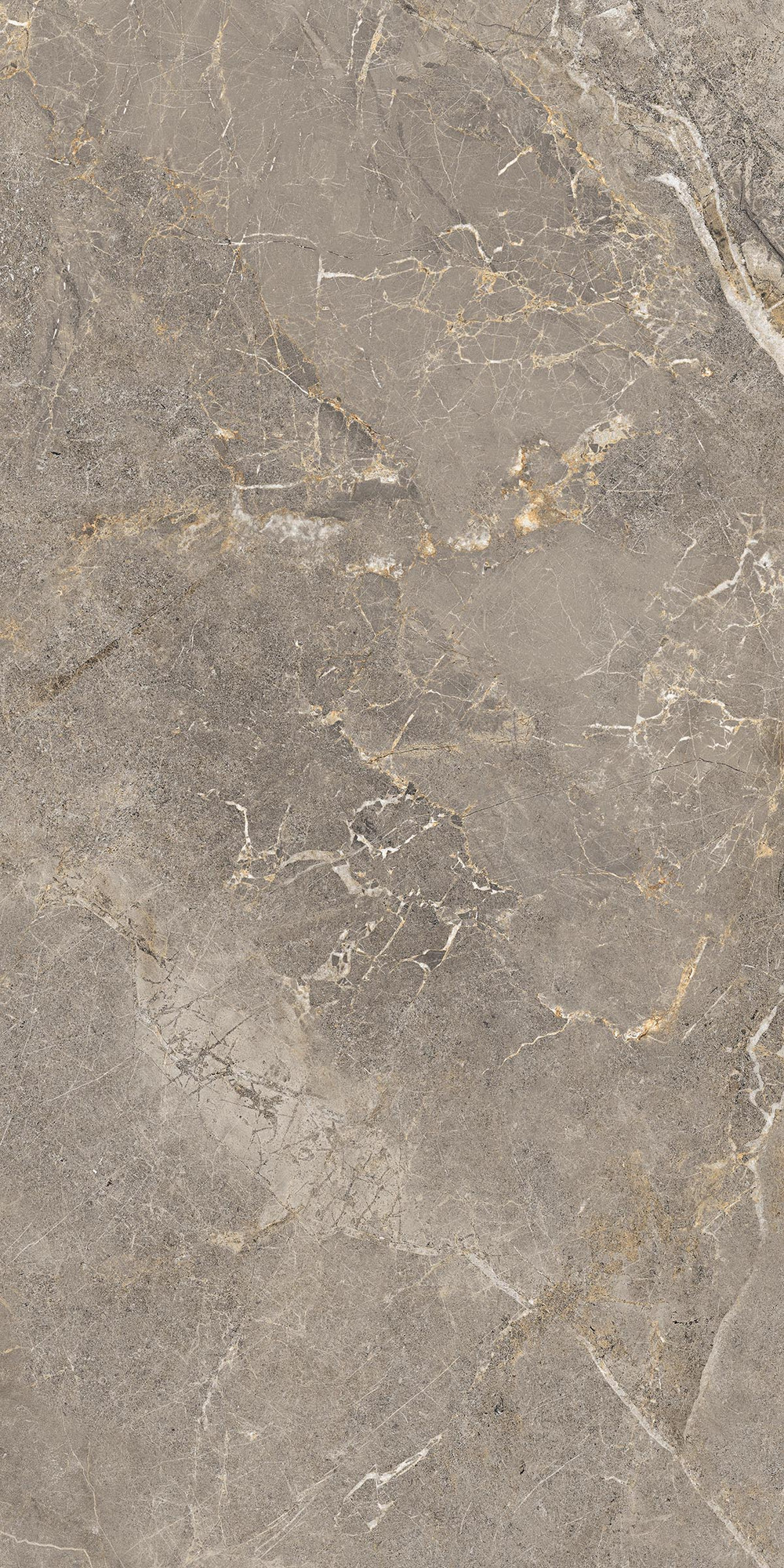 Fioridi Bosco Semi Polished White Porcelain Tile