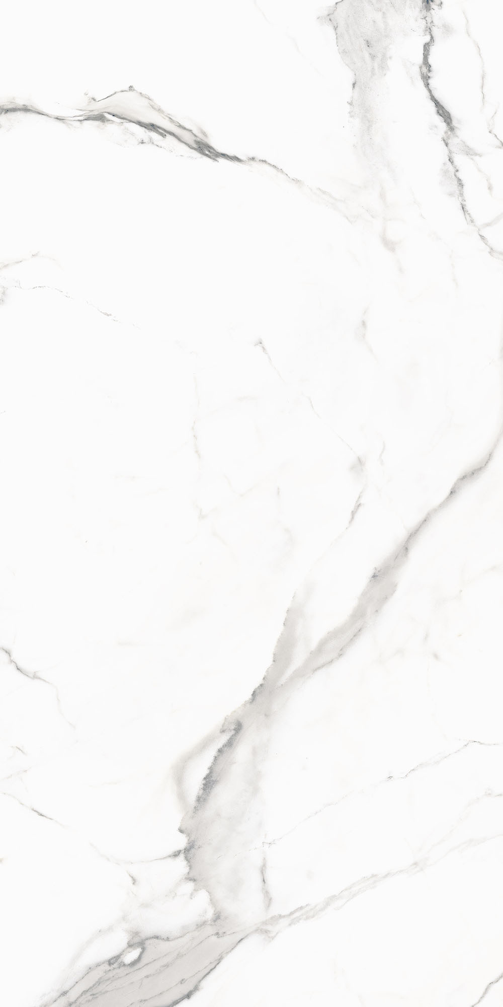 Royal Marbles Polished Gold Calacatta Dolce Porcelain Tile
