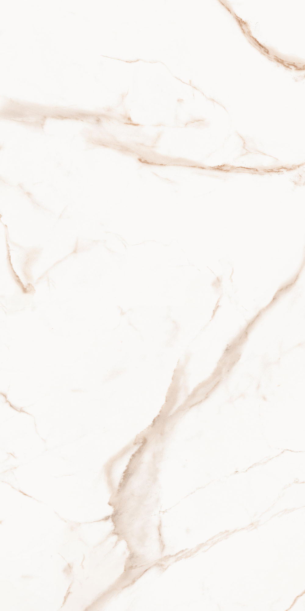 Royal Marbles Calacatta Dolce Parlak Porselen Karo