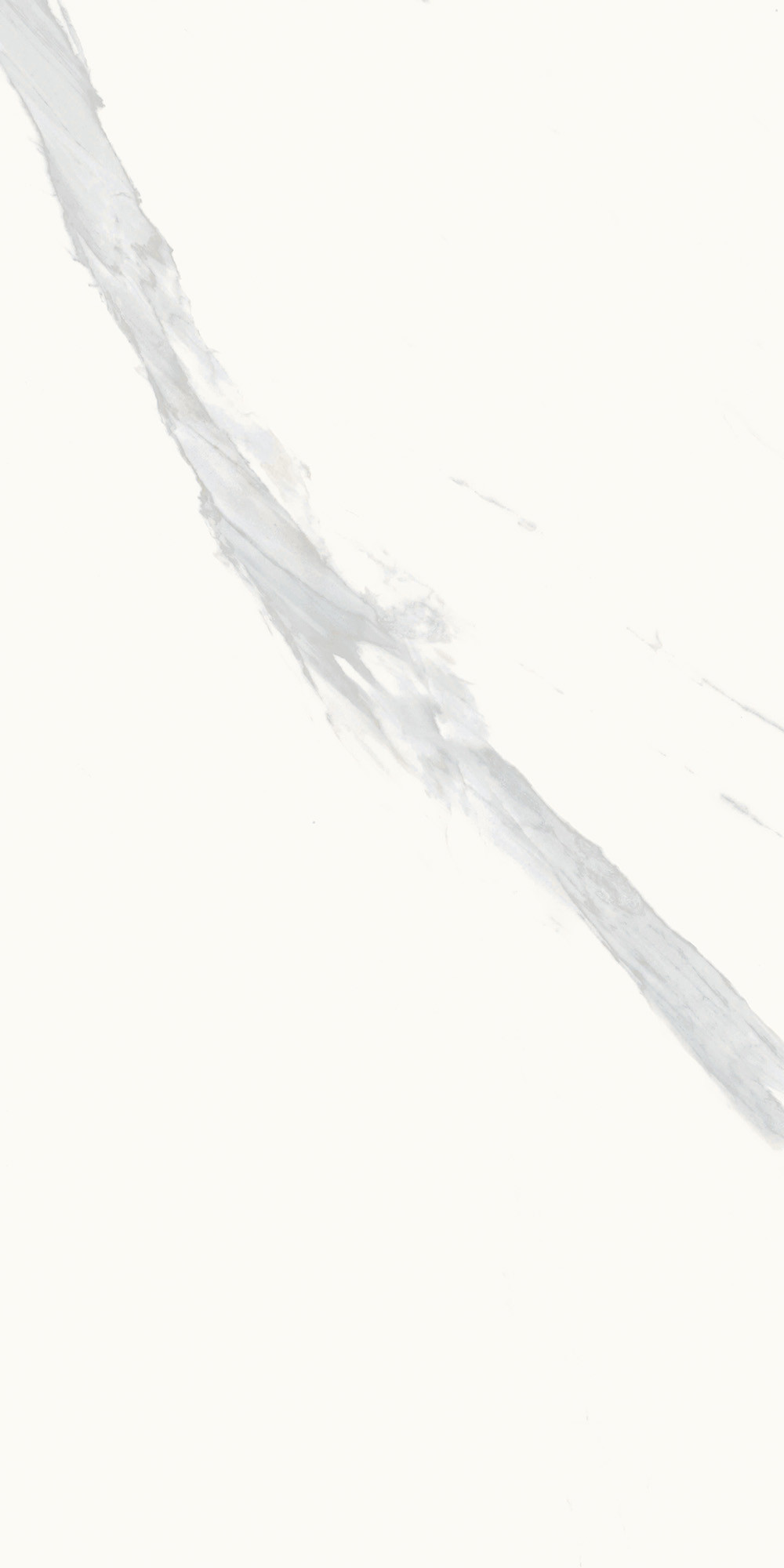 Royal Marbles Matte Calacatta Calma Porcelain Tile