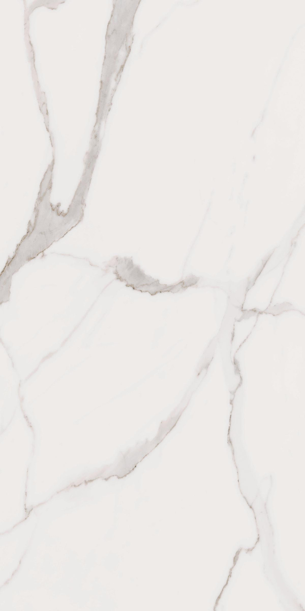 Calacatta Unique Matte White Porcelain Tile