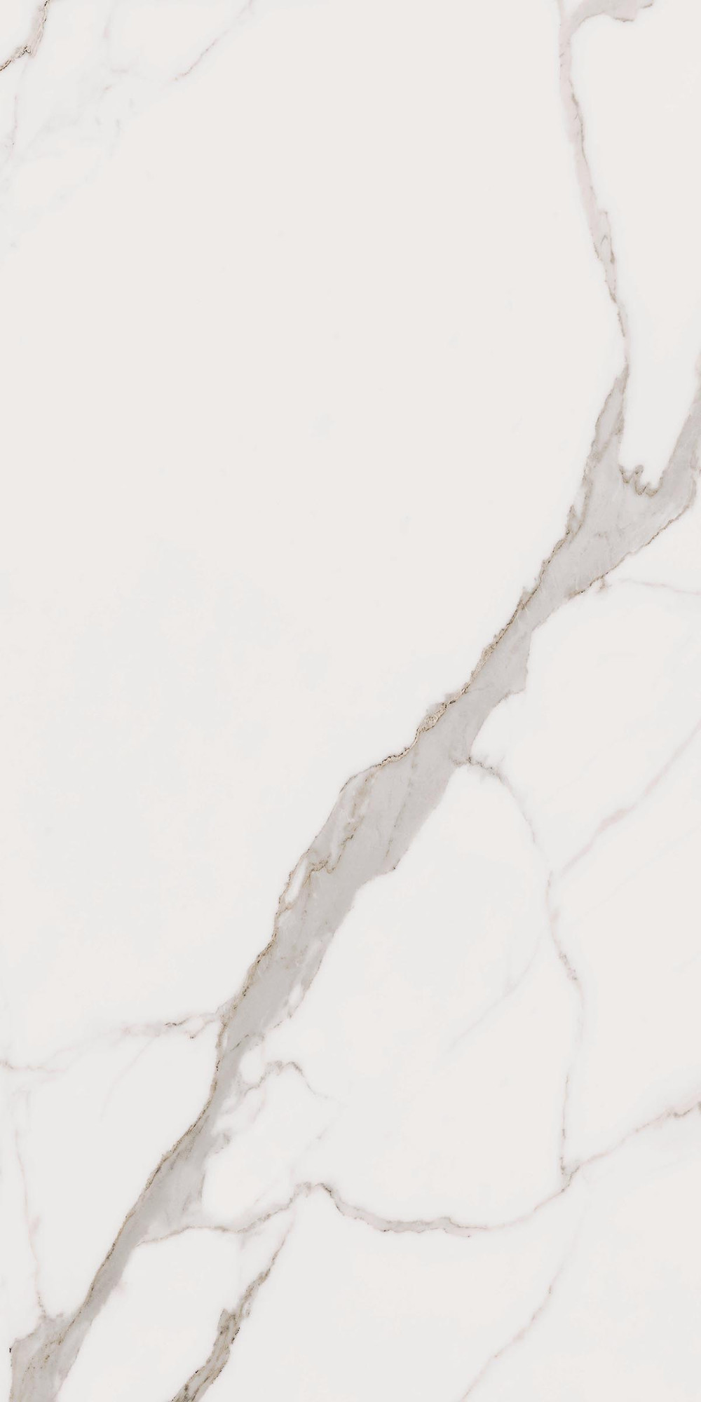 Calacatta Unique Matte White Porcelain Tile
