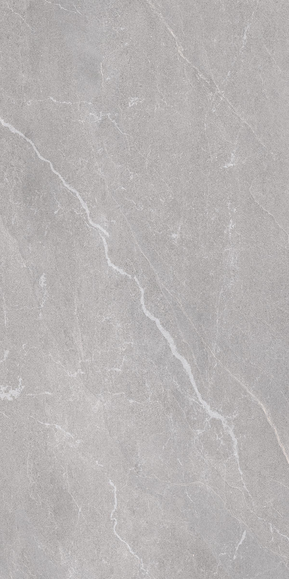 Bodo Matte Grey Porcelain Tile