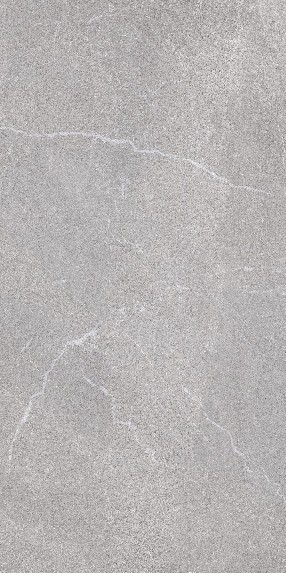 Bodo Matte Grey Porcelain Tile