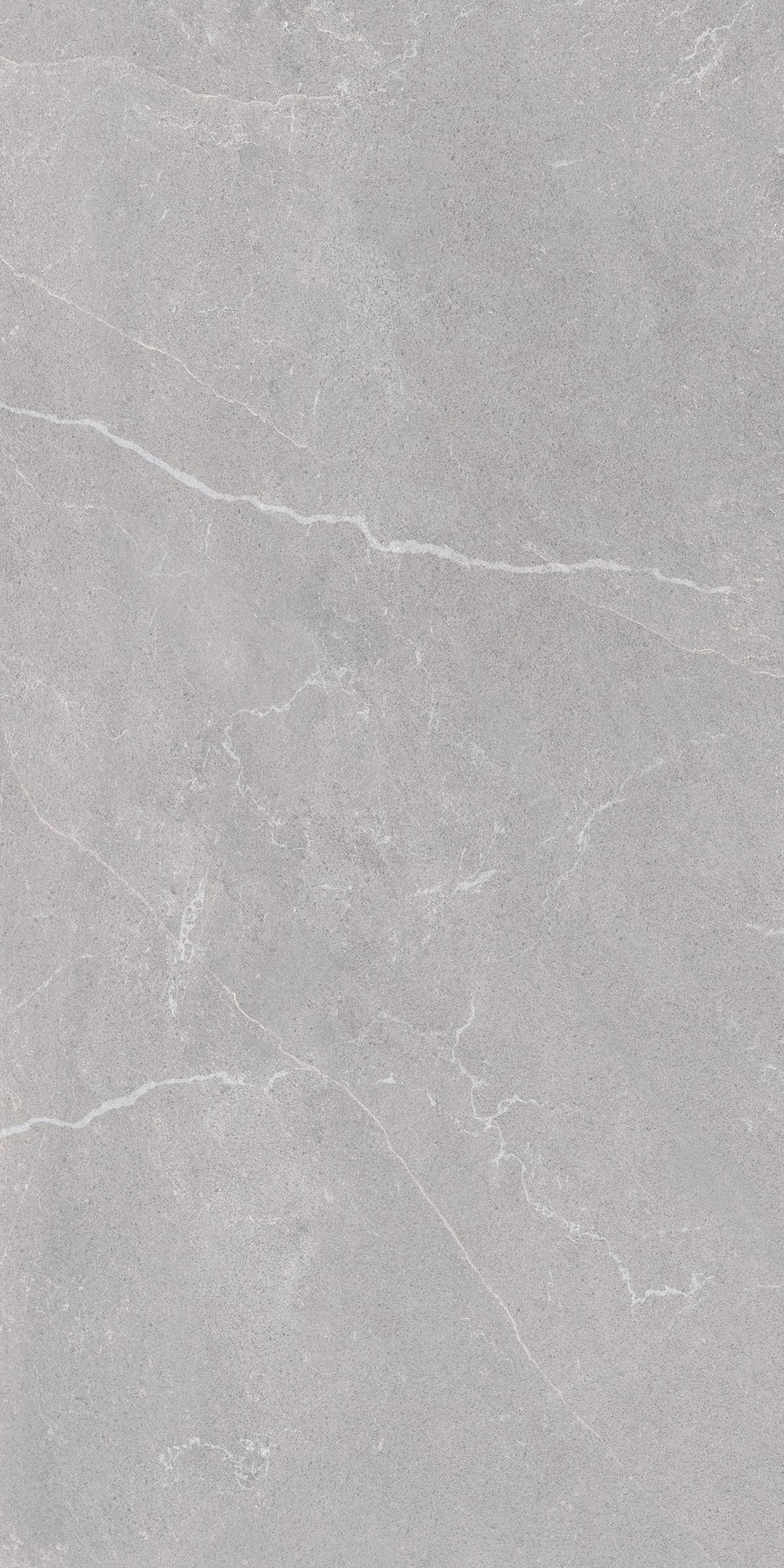 Bodo Matte Grey Porcelain Tile