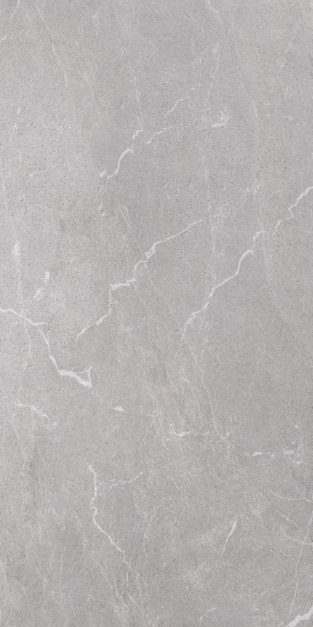 Bodo Matte Grey Porcelain Tile